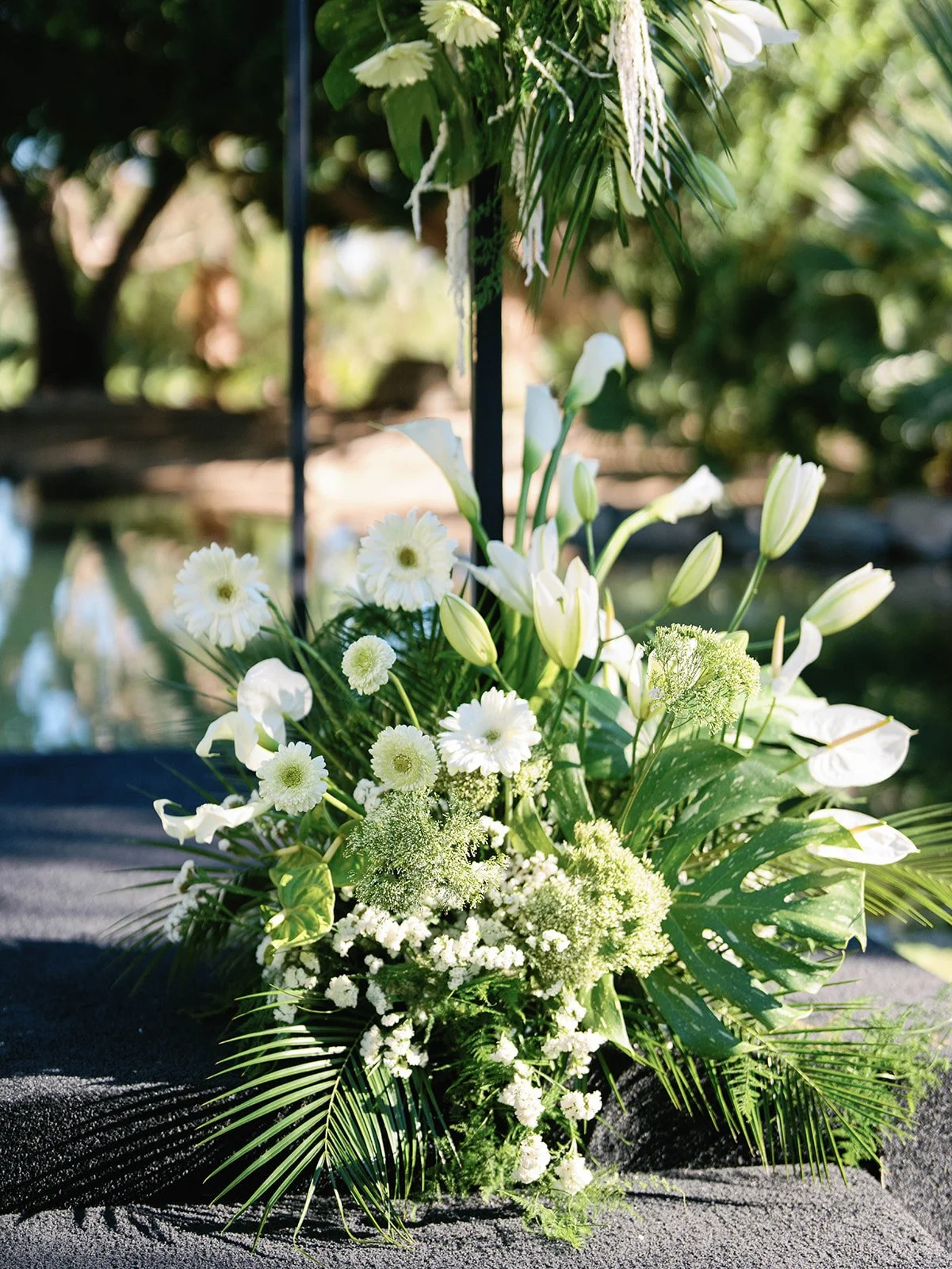 Gregory Ross Photography -4164.jpg