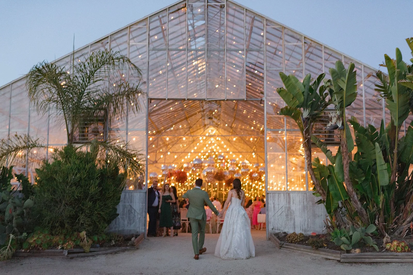 Caylie & Michael-Wedding-1964.jpg