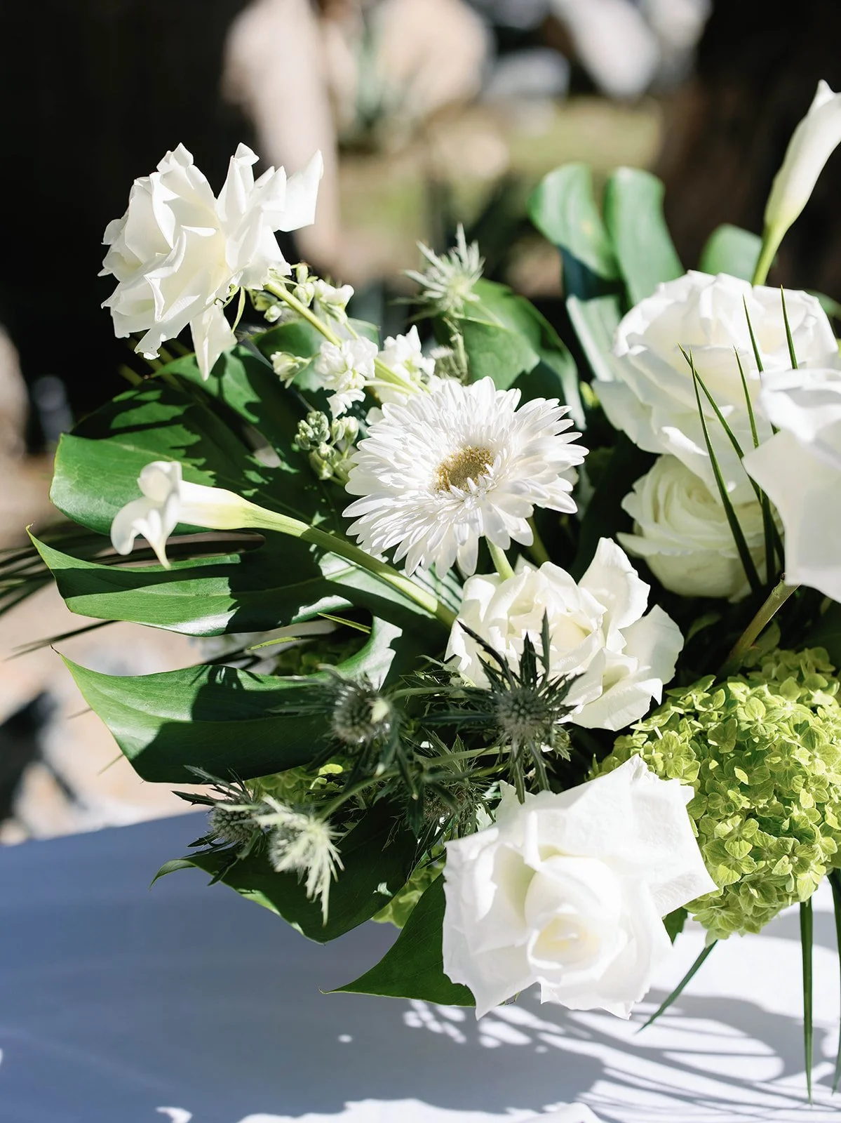 Gregory Ross Photography -3719.jpg