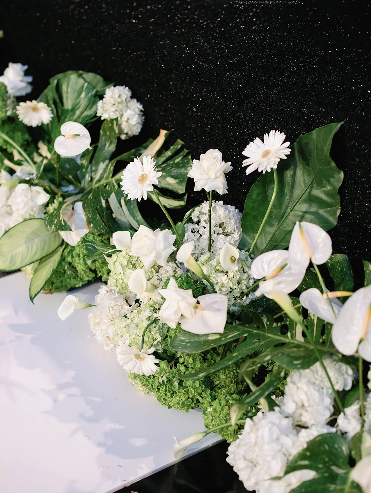 Gregory Ross Photography -6815.jpg