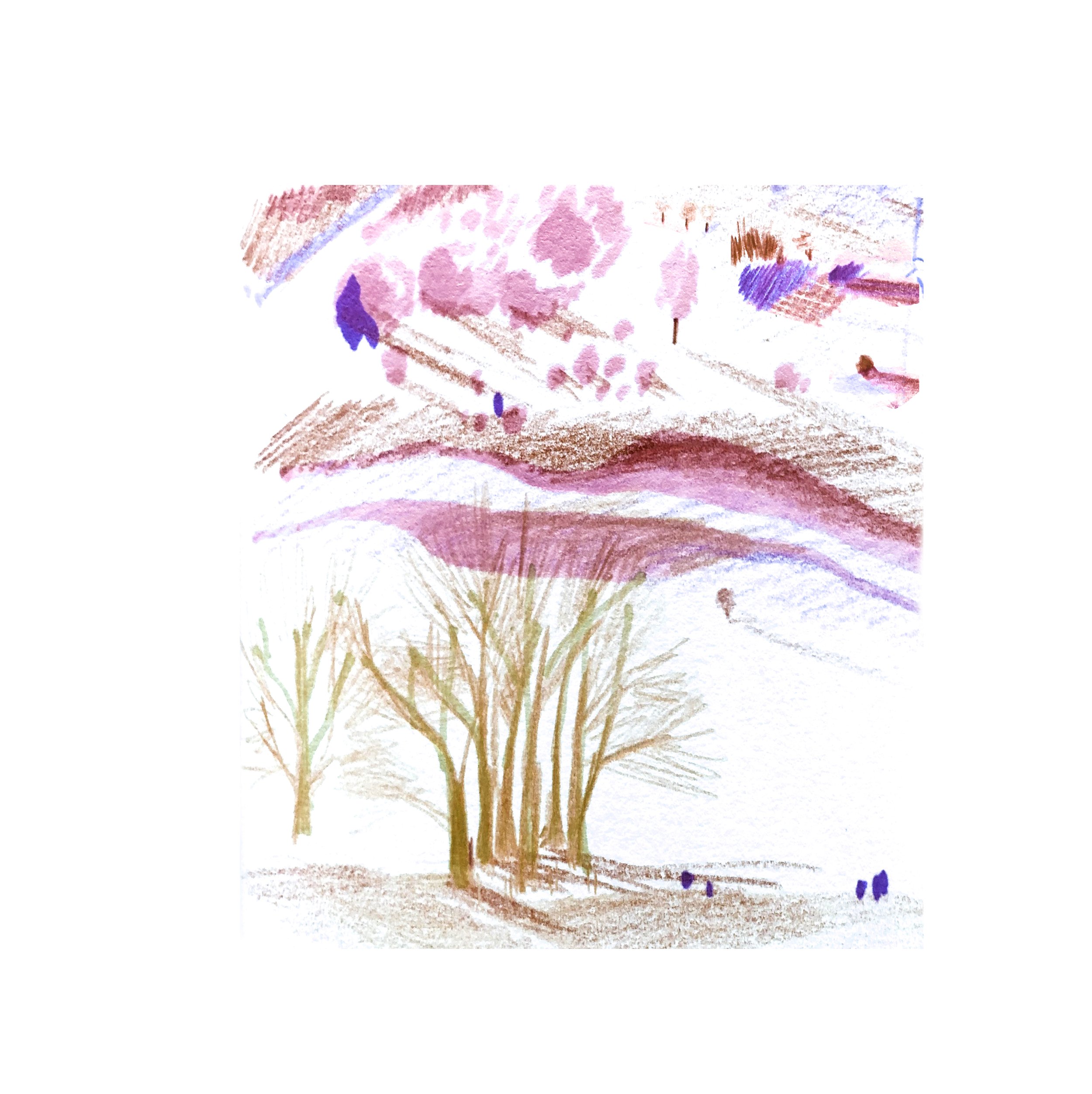 Colourscape2.jpg