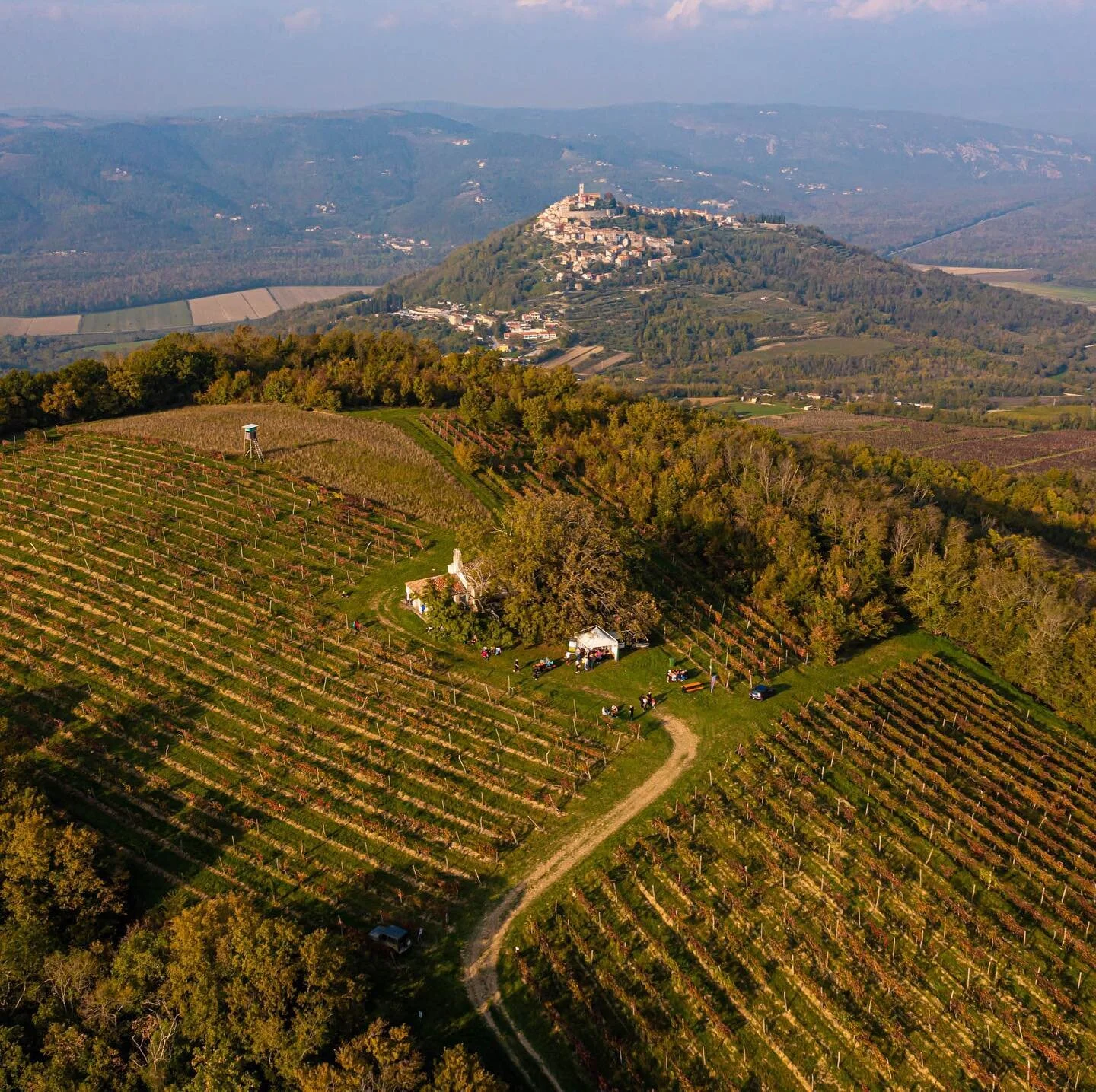 🍷 Slide 👉 za pregled panorame prvod #teranwineandwalk  u @visit_motovun 🍷

#winetasting  #winestagram  #wineandwalk #visitmotovun #wineporn #studio11idea #landscapephotography #dji #djimavicpro2 #wineyards #bhfyp #panorama