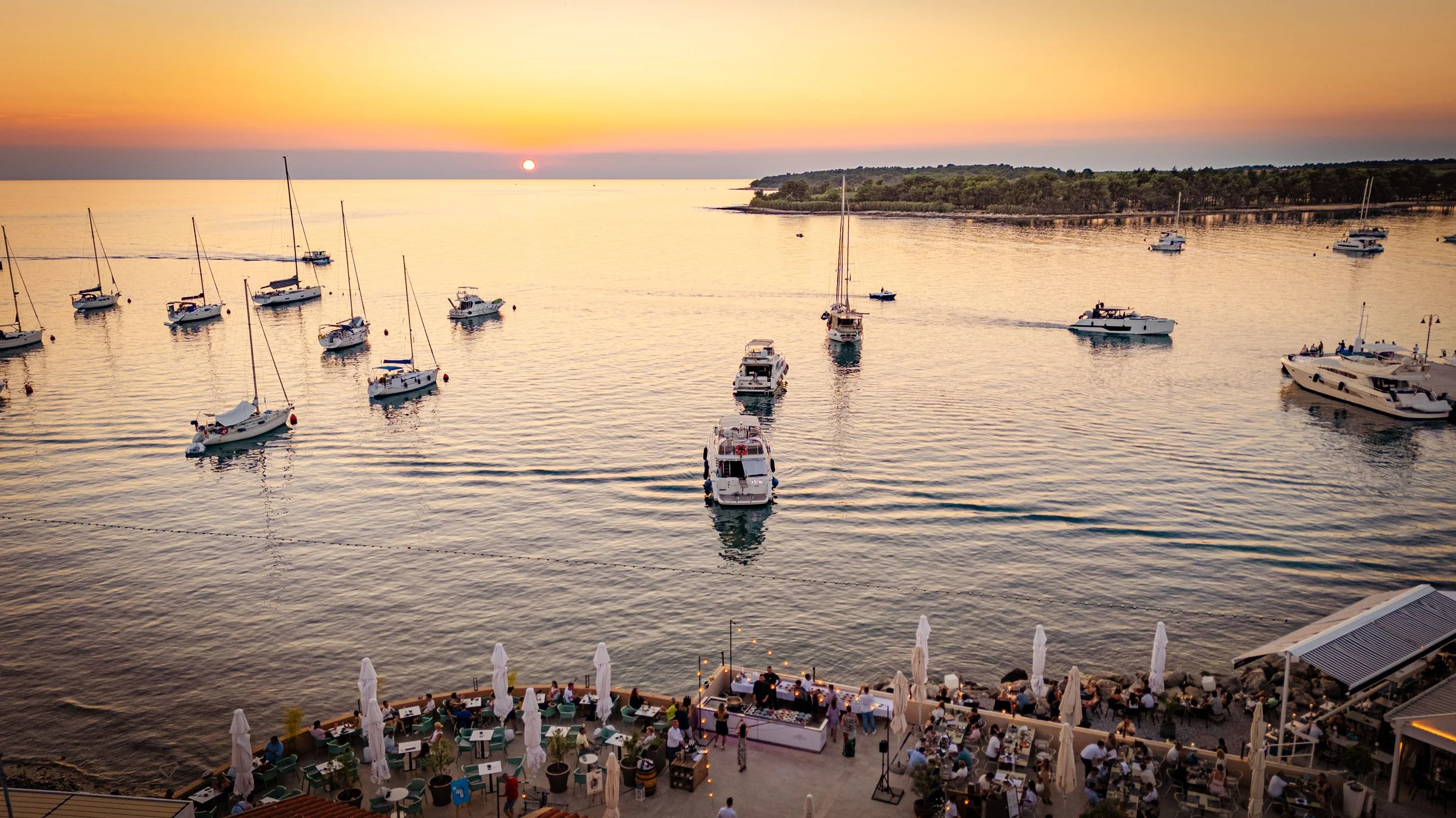 Half 8 Aminess-5.jpg