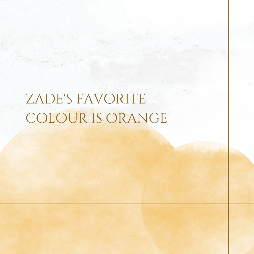 STYLISH — Forever Zade