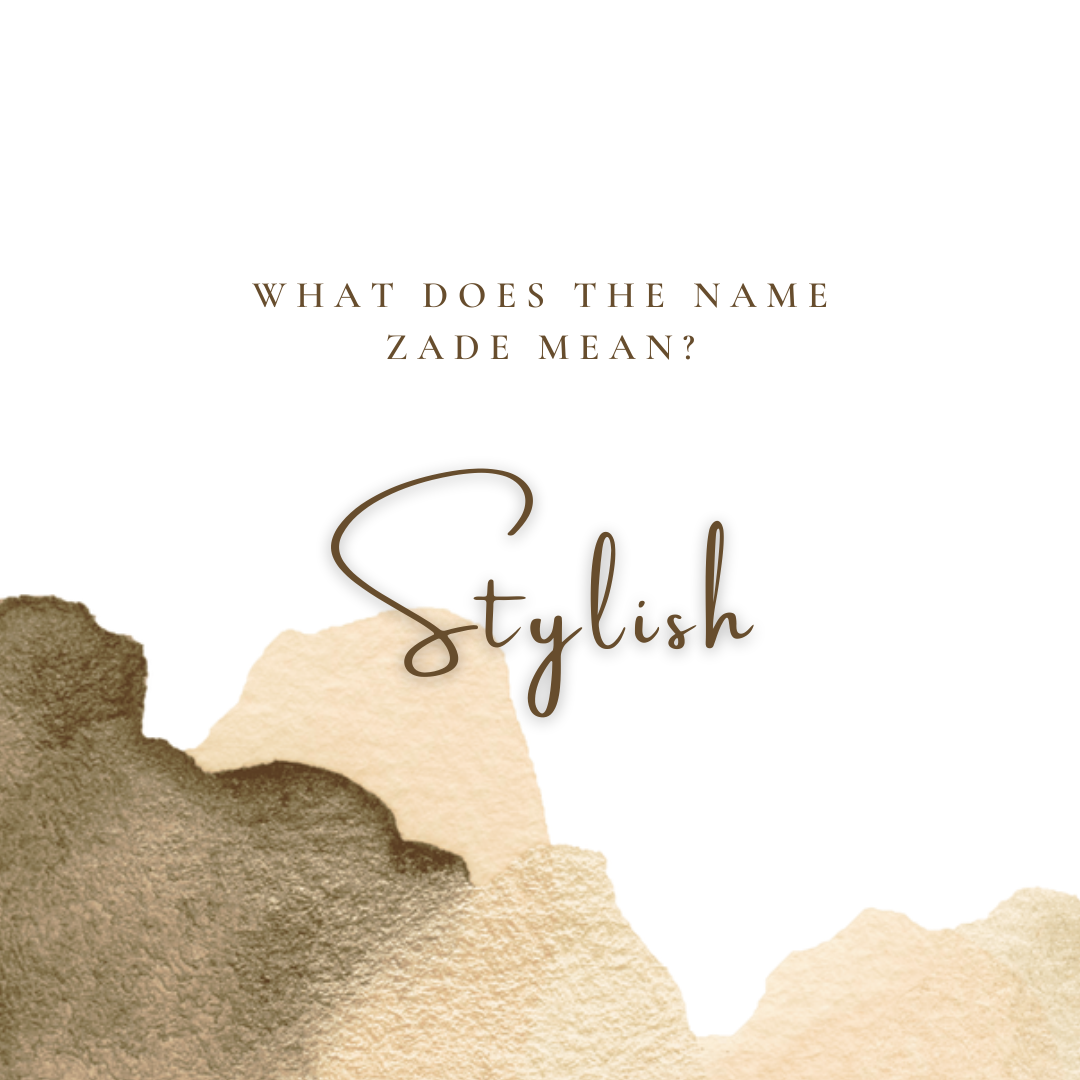 STYLISH — Forever Zade