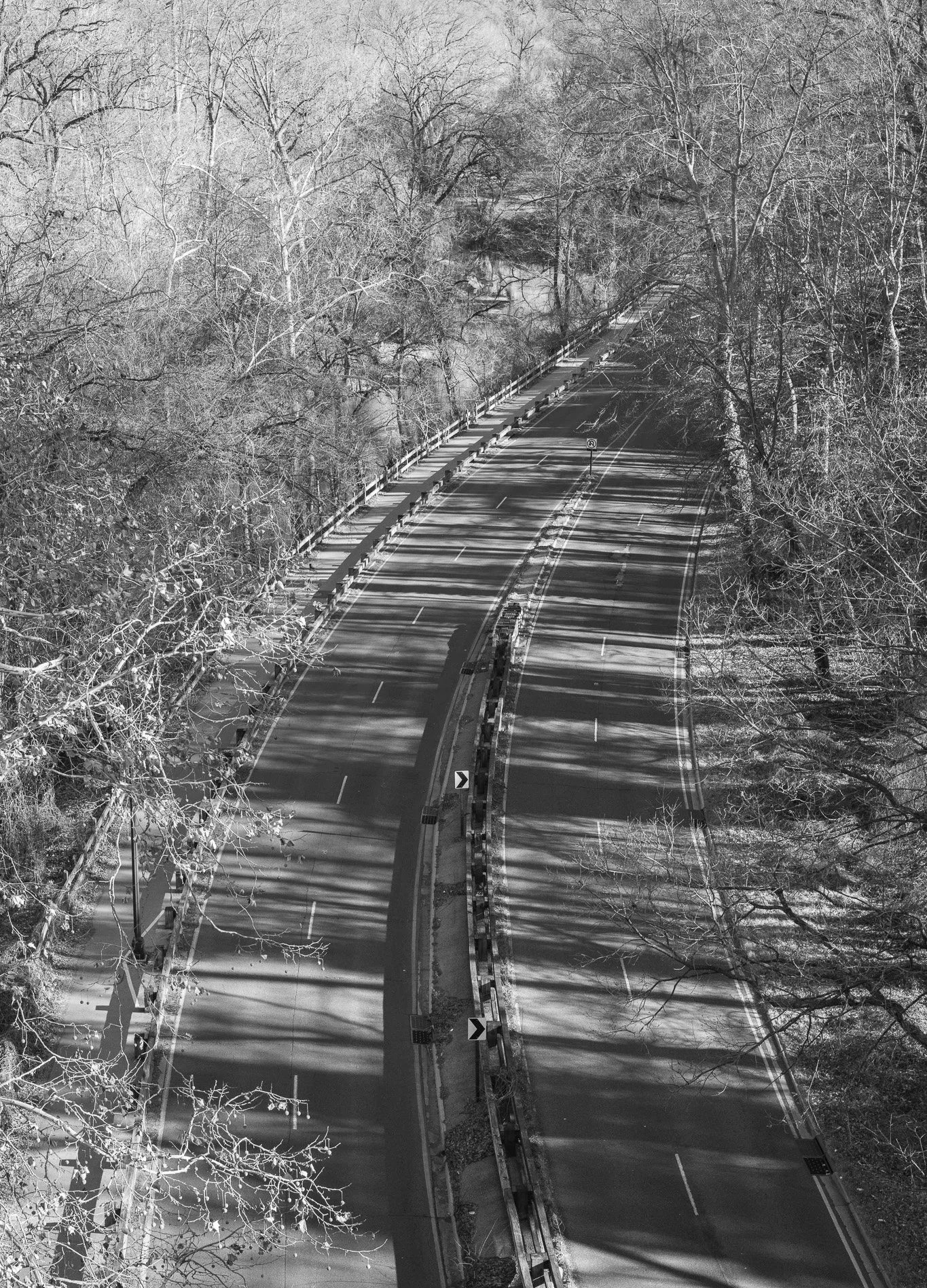 Empty winding road with shadows from trees on both sides, black-and-white photo.  This represents strategic direction.