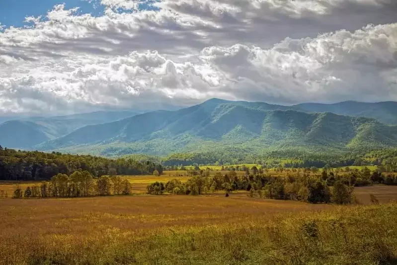 A landscape with a wide field in the foreground, a line of trees, and a mountain range in the background under a partly cloudy sky.