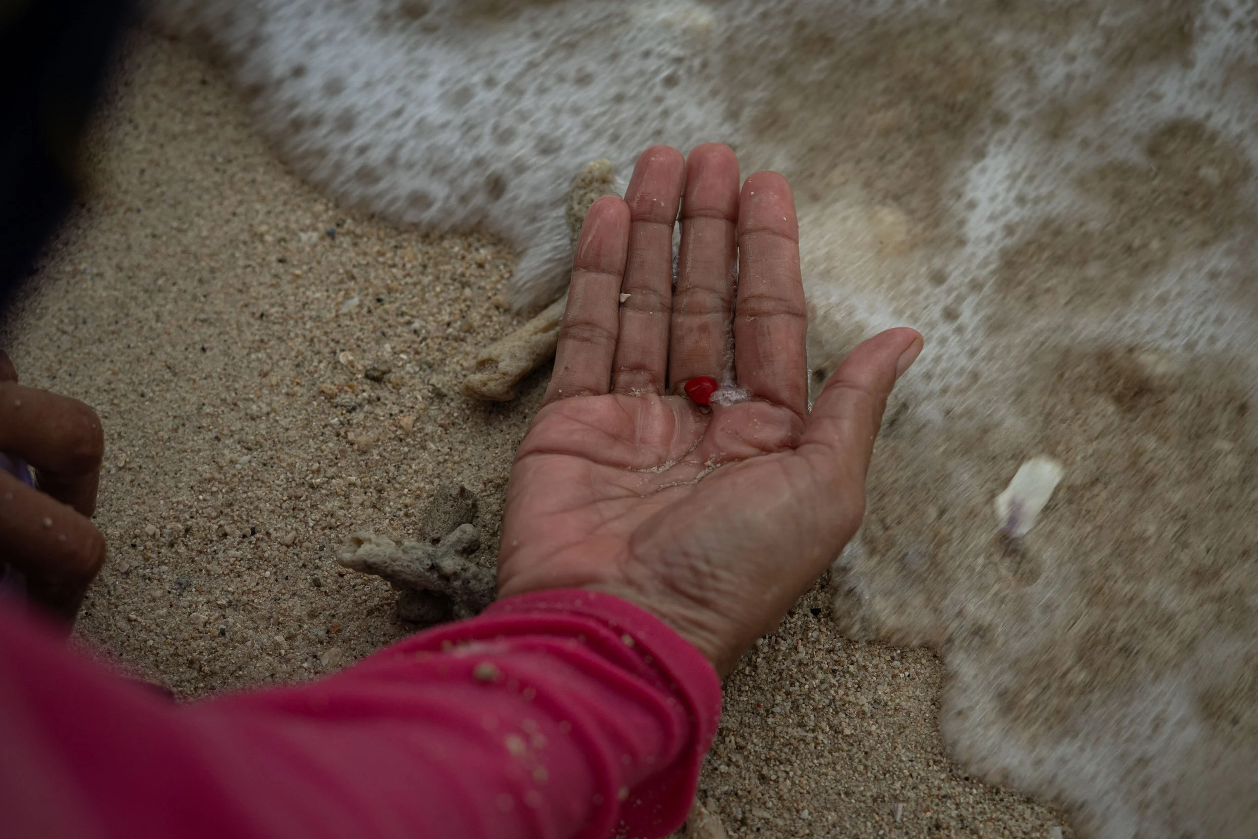 Intertidal #5 _Song Of The Wind_-131.jpg