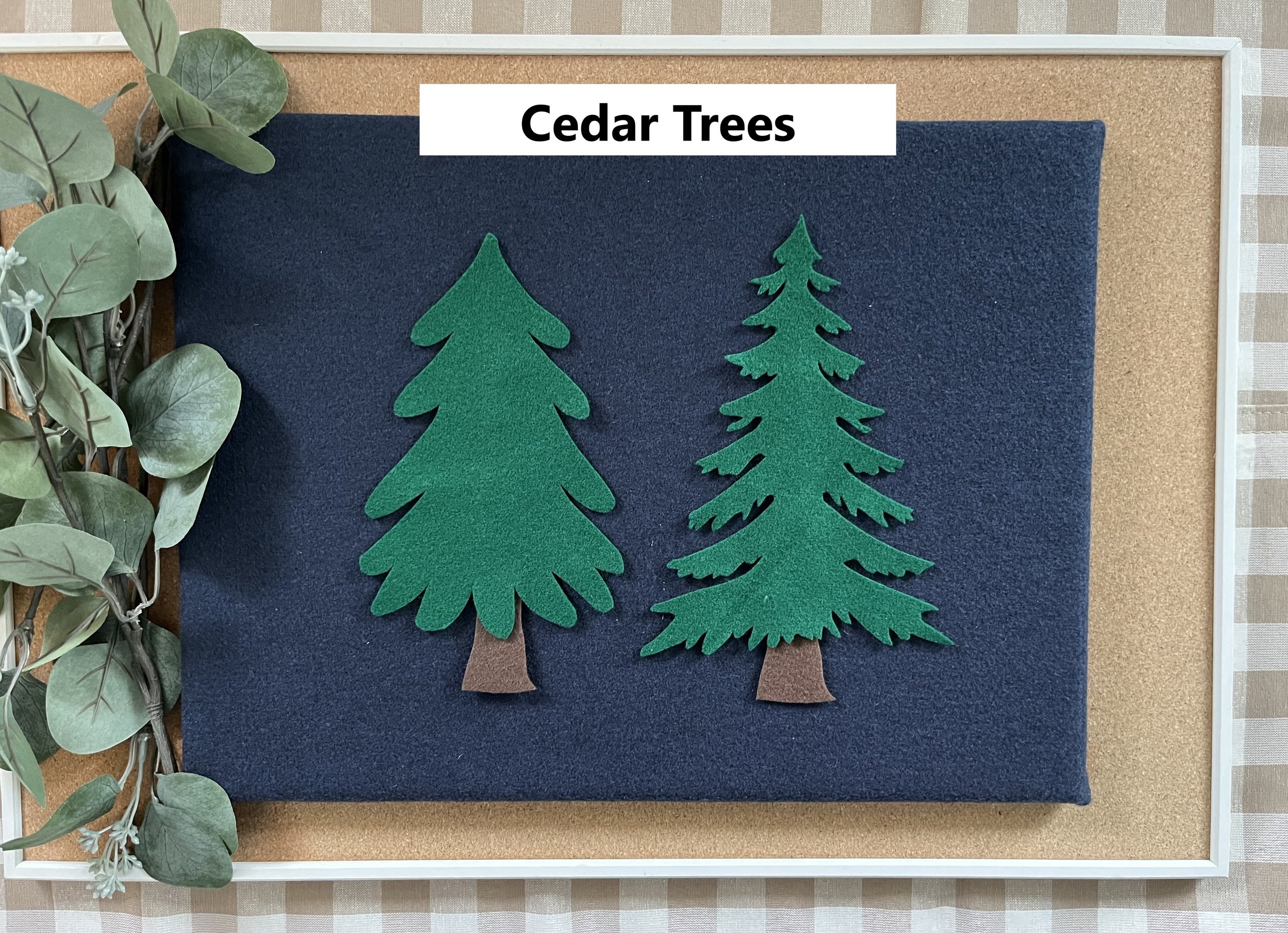 Cedar Trees.jpg