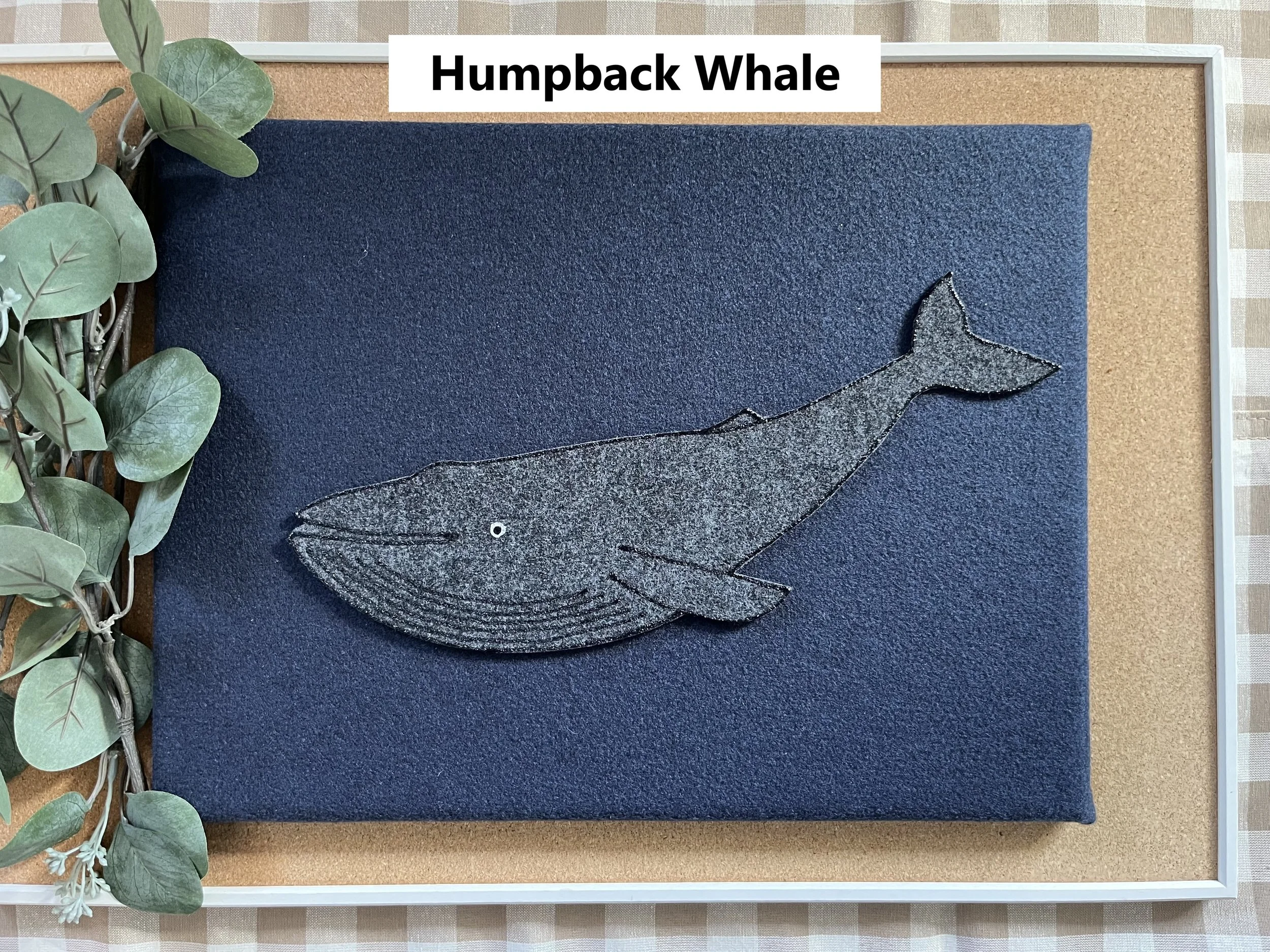 Humpback Whale 2.jpg