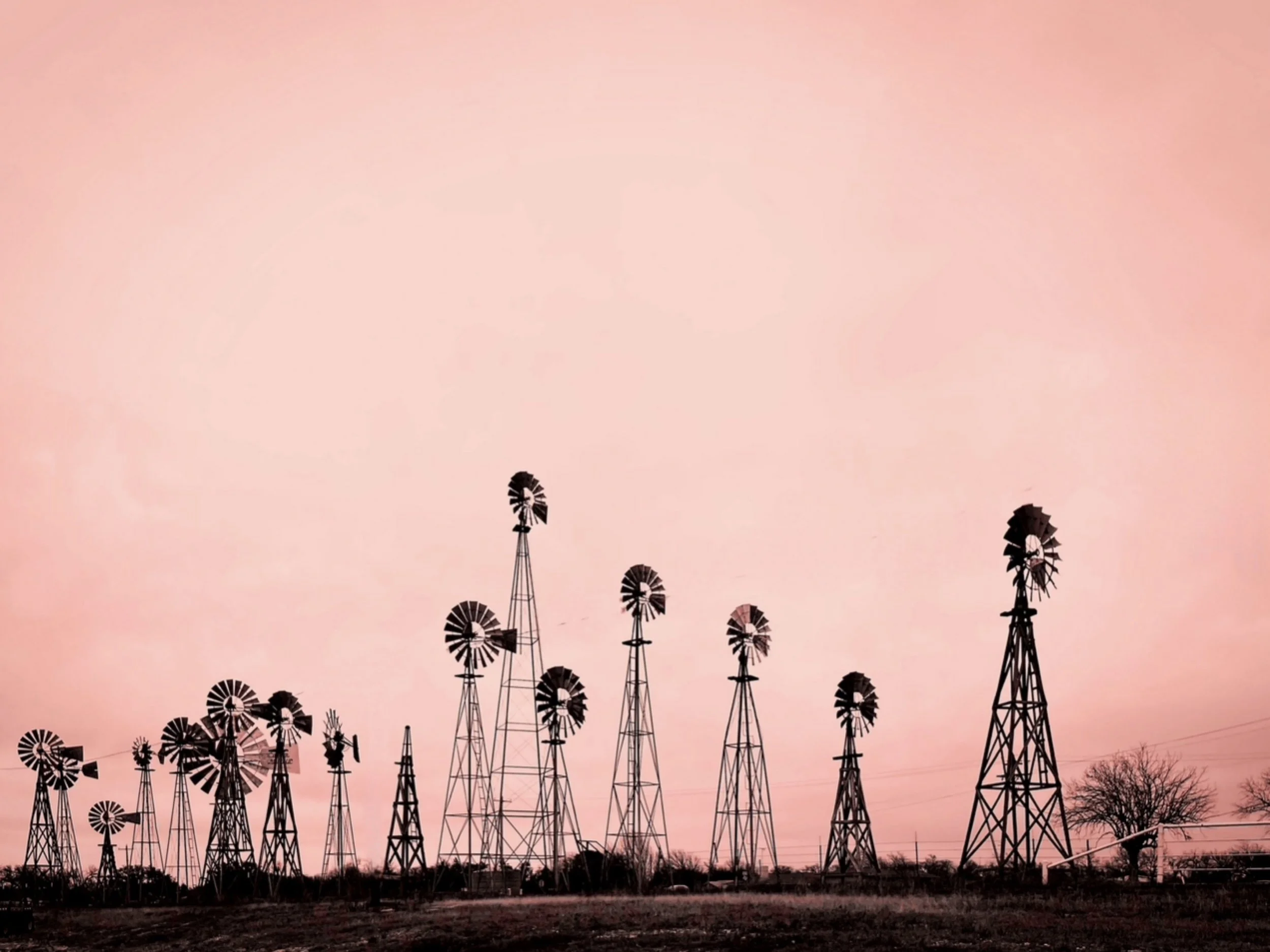 MOD WEST Artist Member Group Show — Center for Contemporary Arts