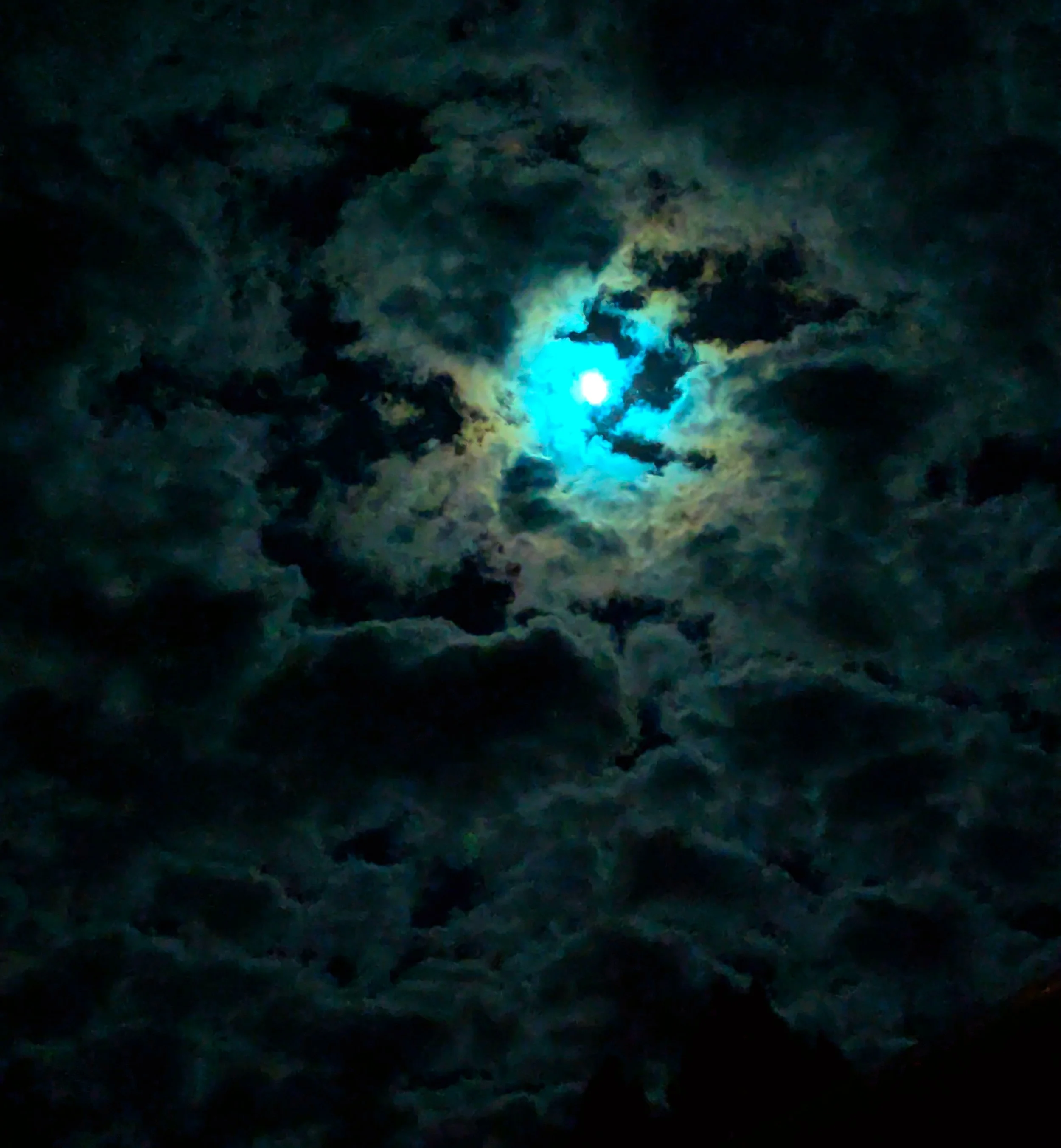 Lost Soul_2025_sandrajhastings jpg.jpg