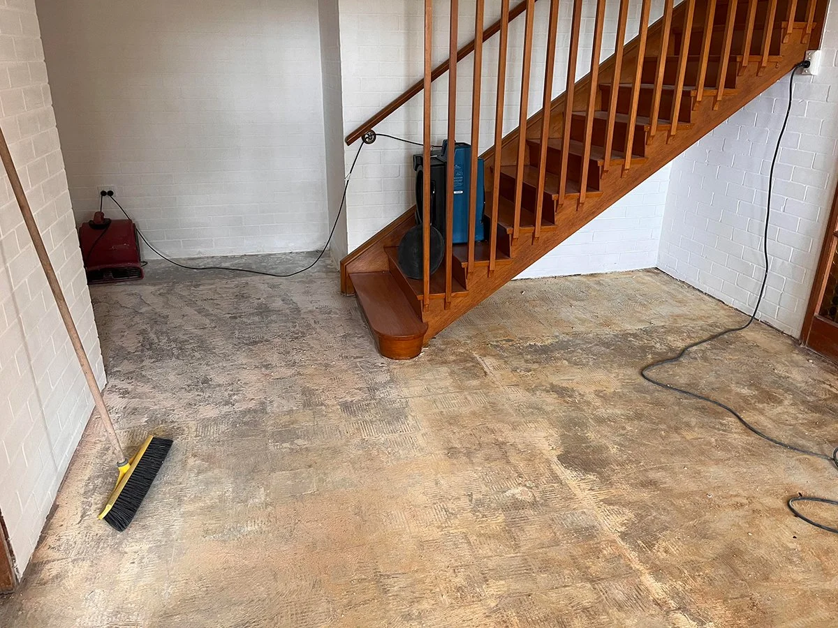 Tiles After Being Removed