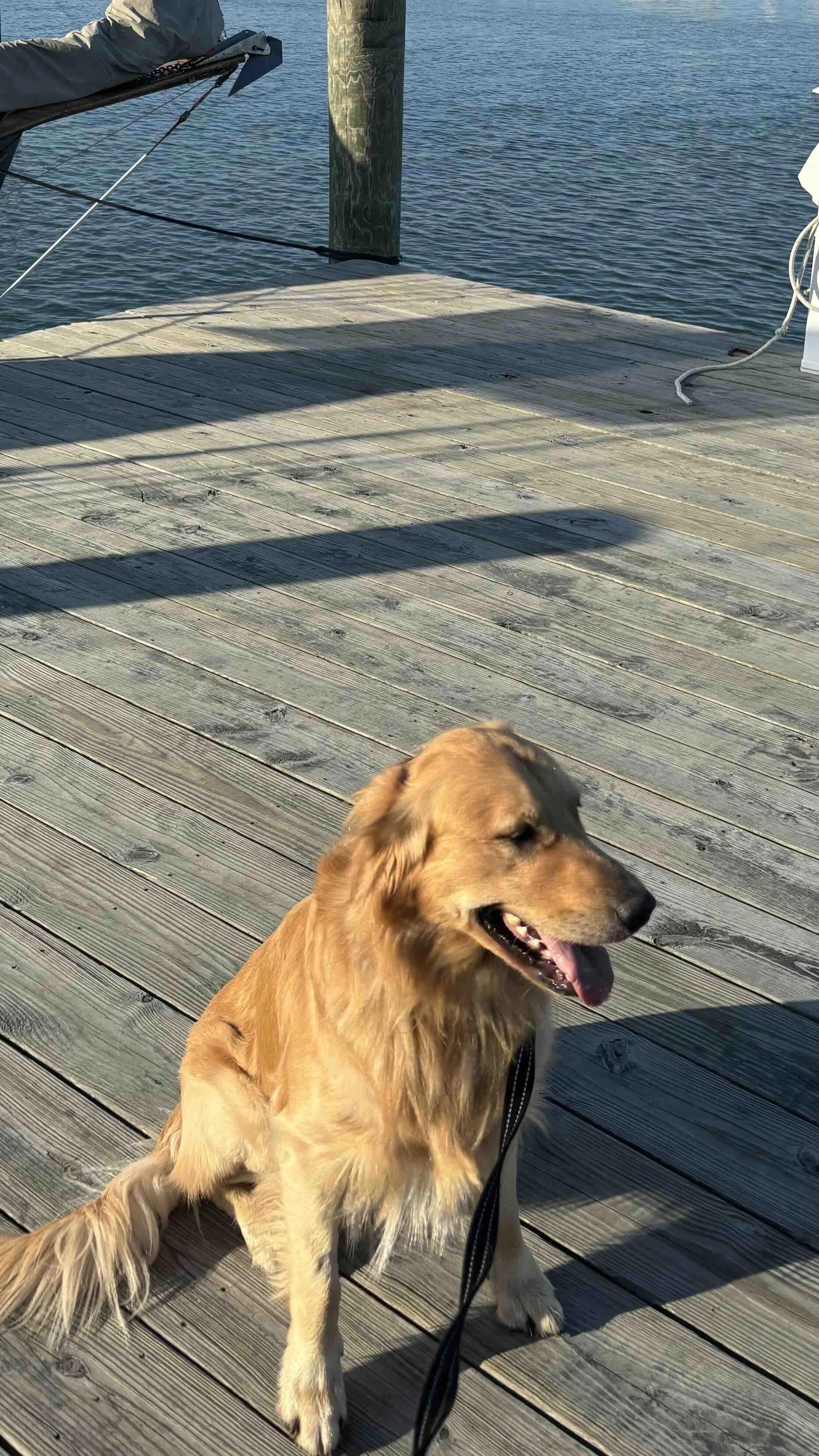 Marty by the water.jpg