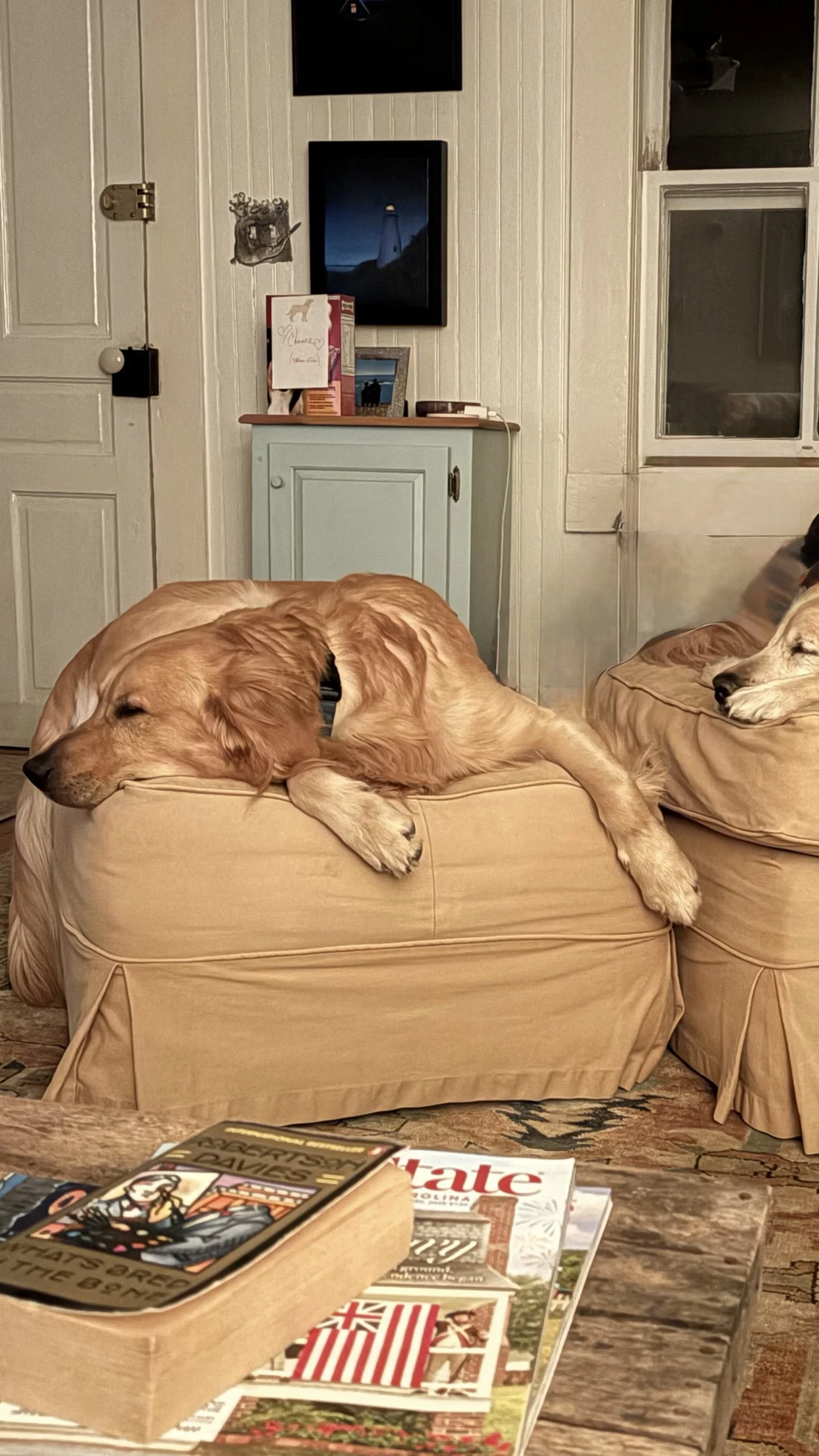 Relaxing with Chance.jpg