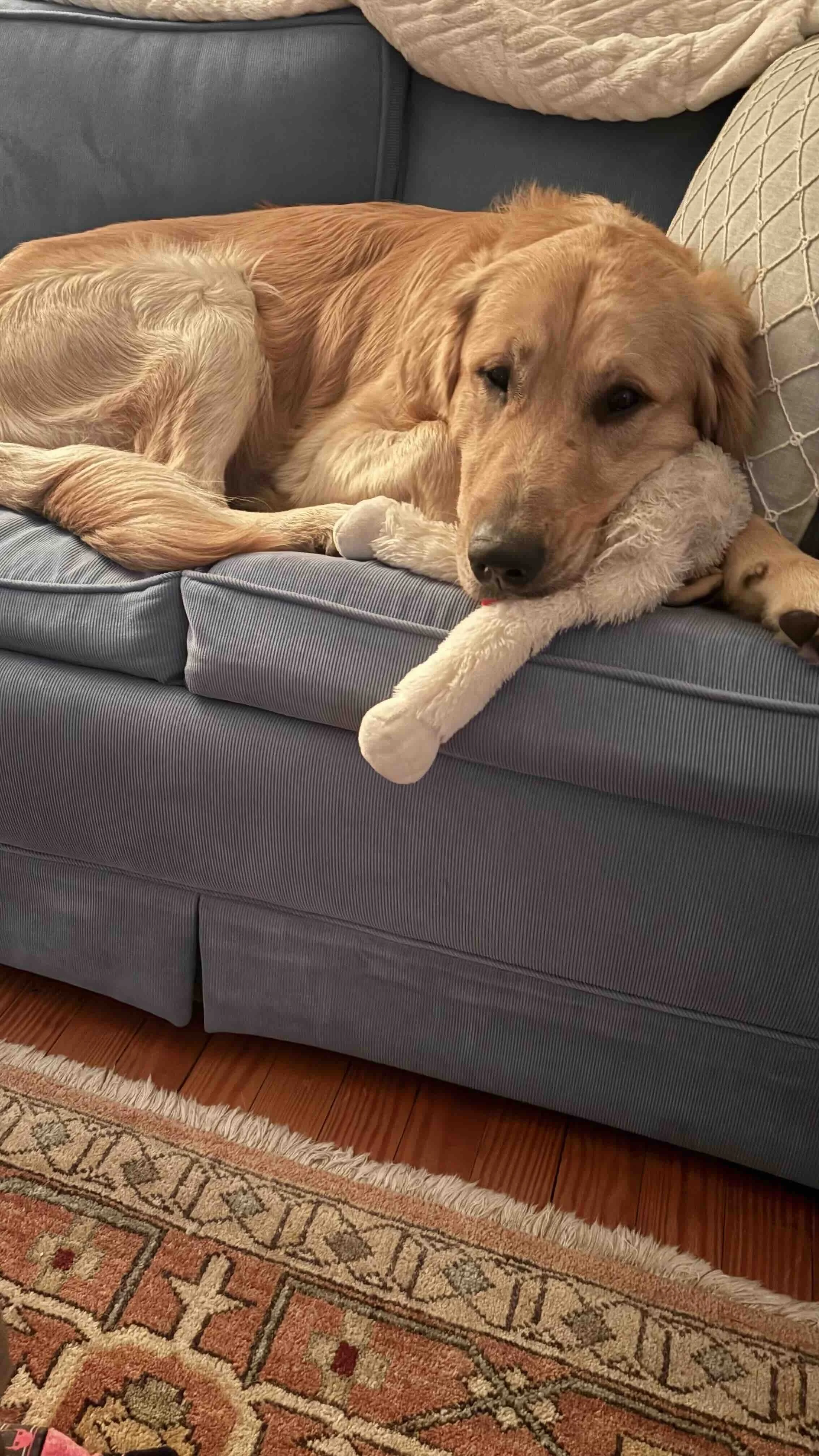 Marty on Couch.jpg