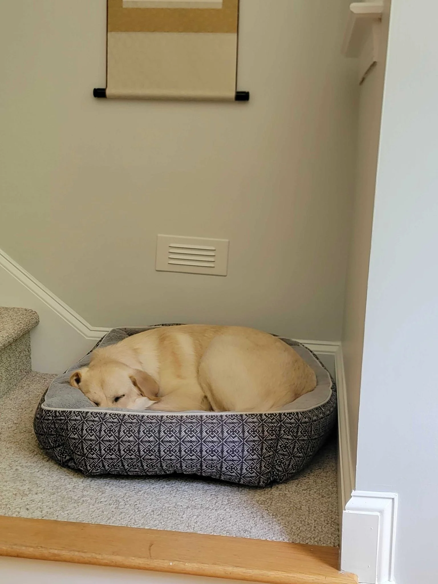 Sleepy Gibbs.jpg