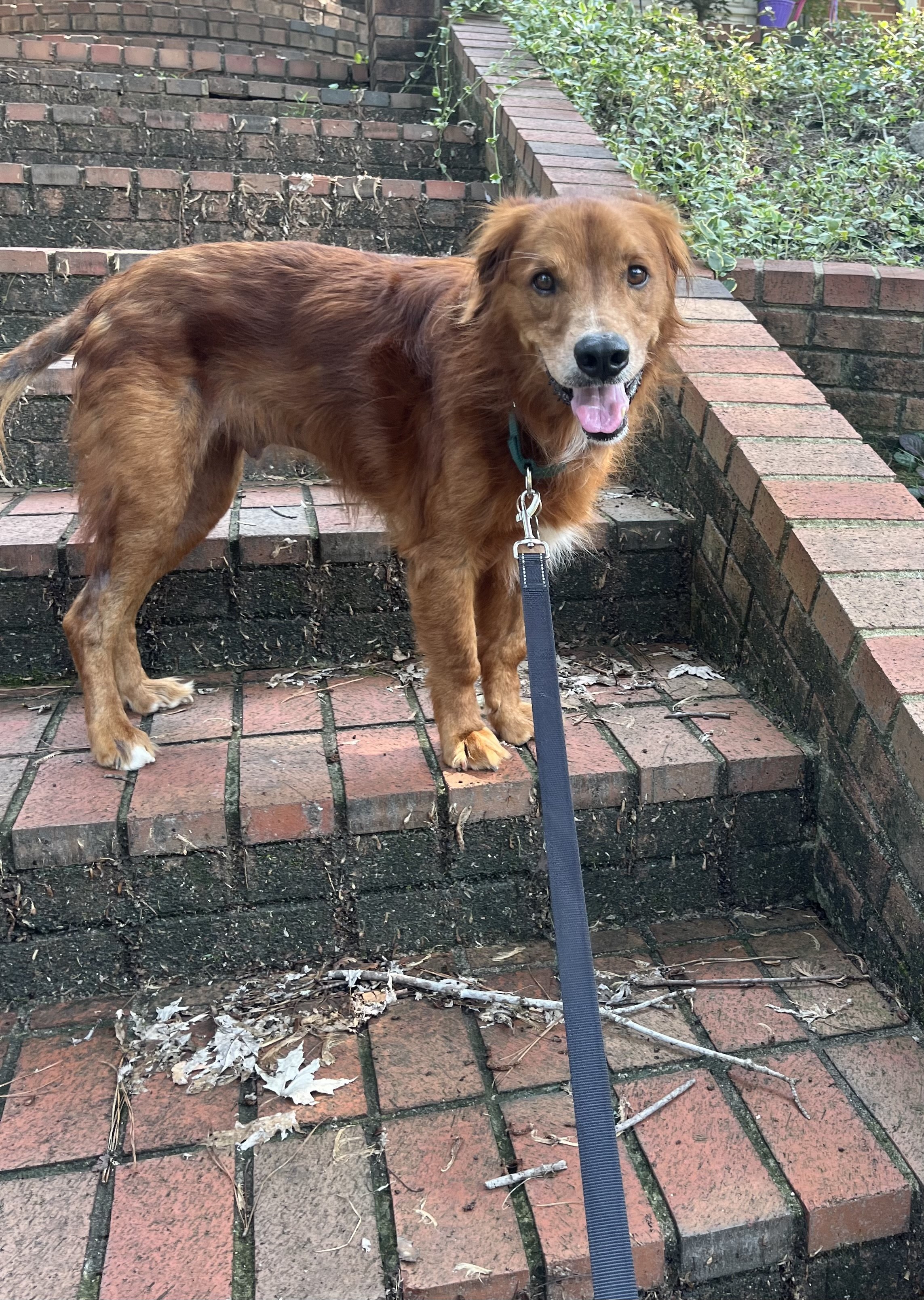 Gabe on Walk.jpg