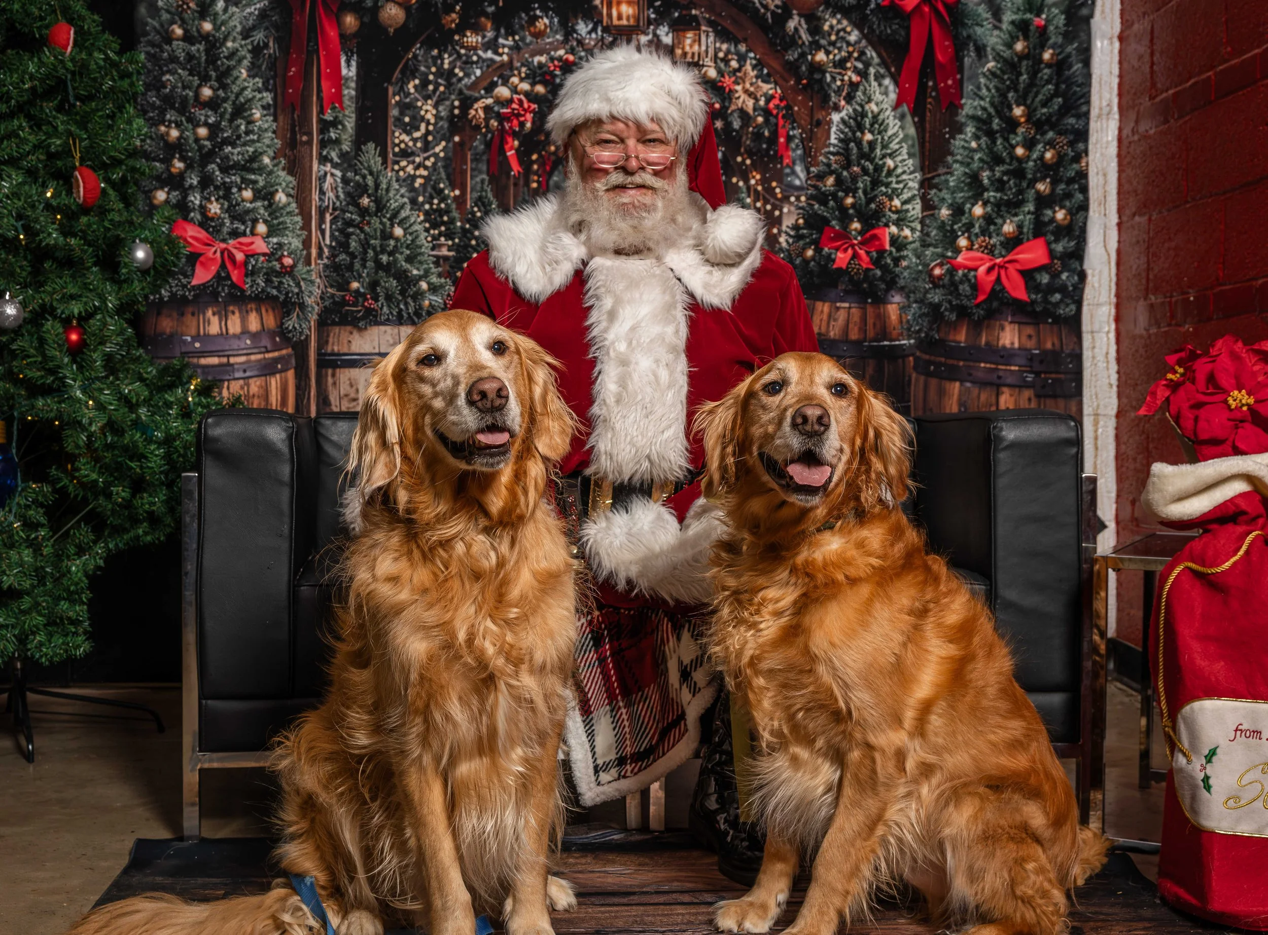 Holiday Pet Photos with Santa hosted by Raleigh Brewing 