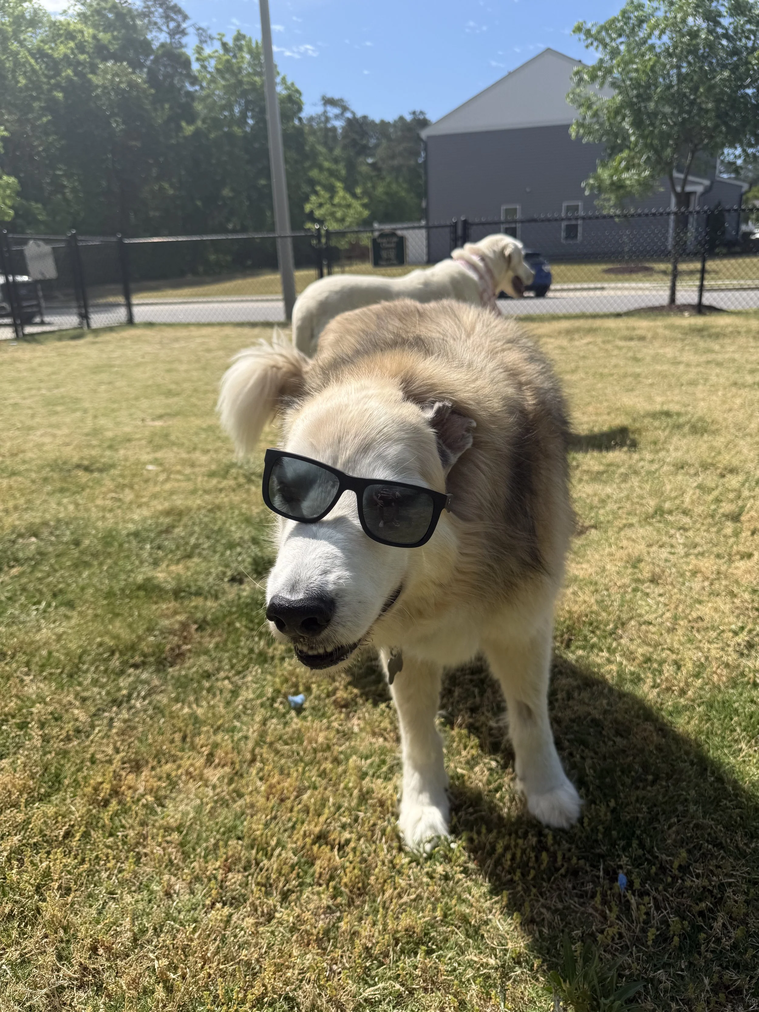 IMG_6975.jpeg