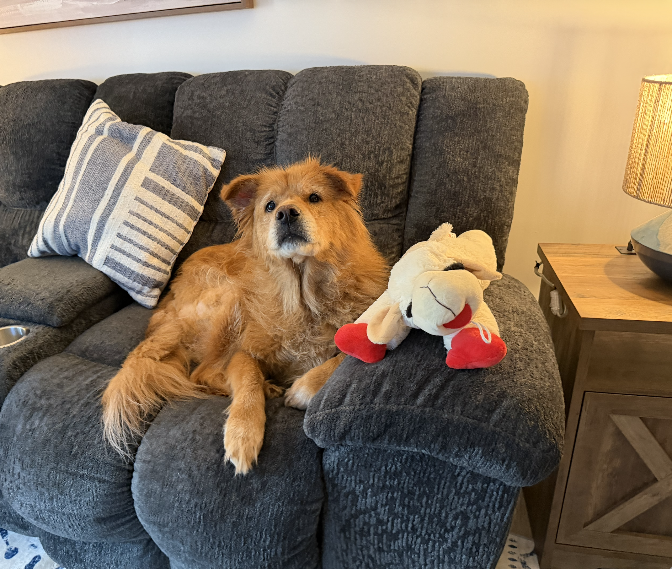 Puddin on the couch.png