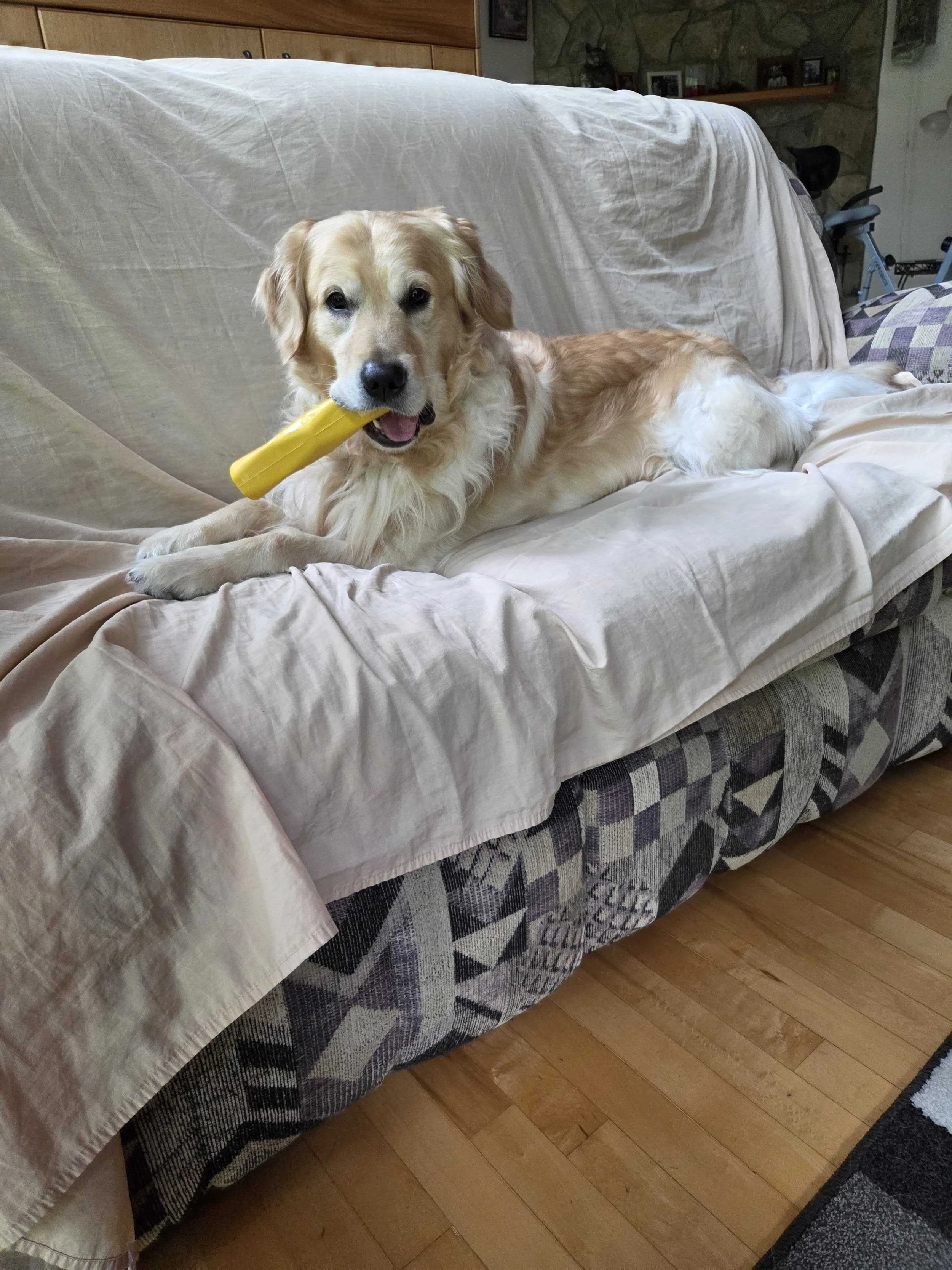 Clayton and his Chew.jpg