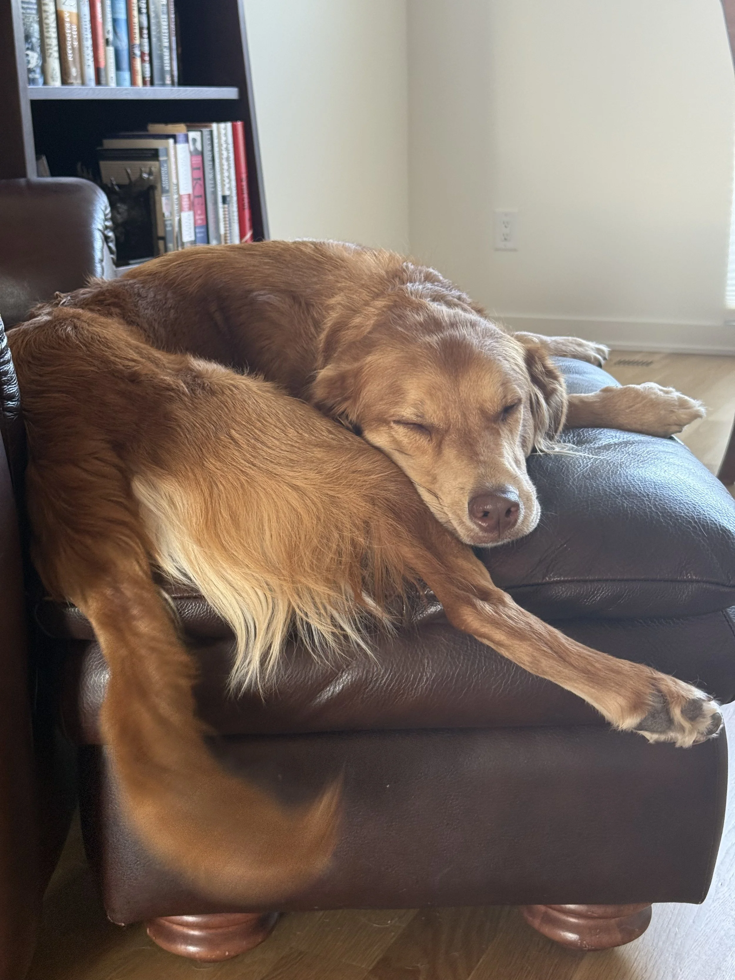 Wil Chills Some More.jpeg