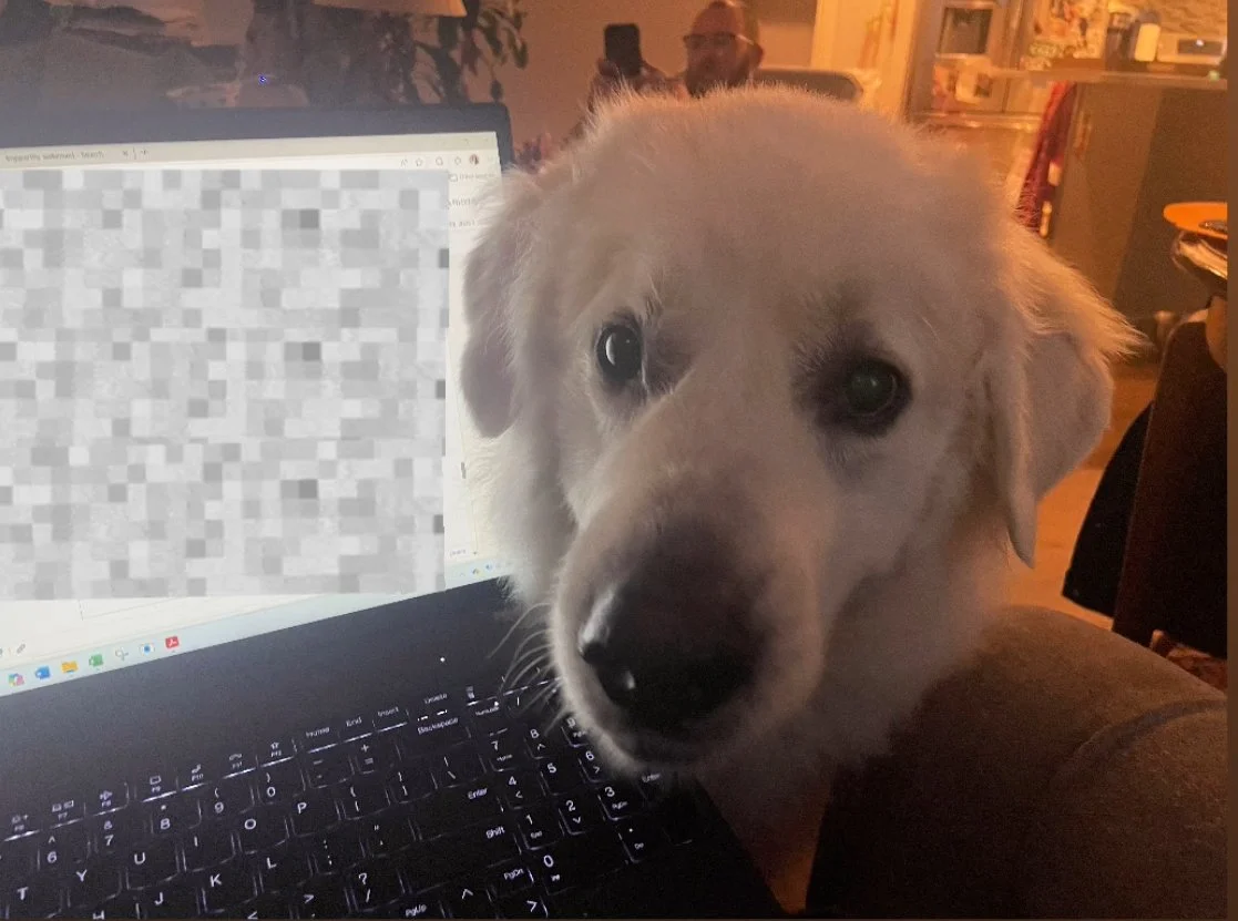 Tatum24 in work mode.jpeg