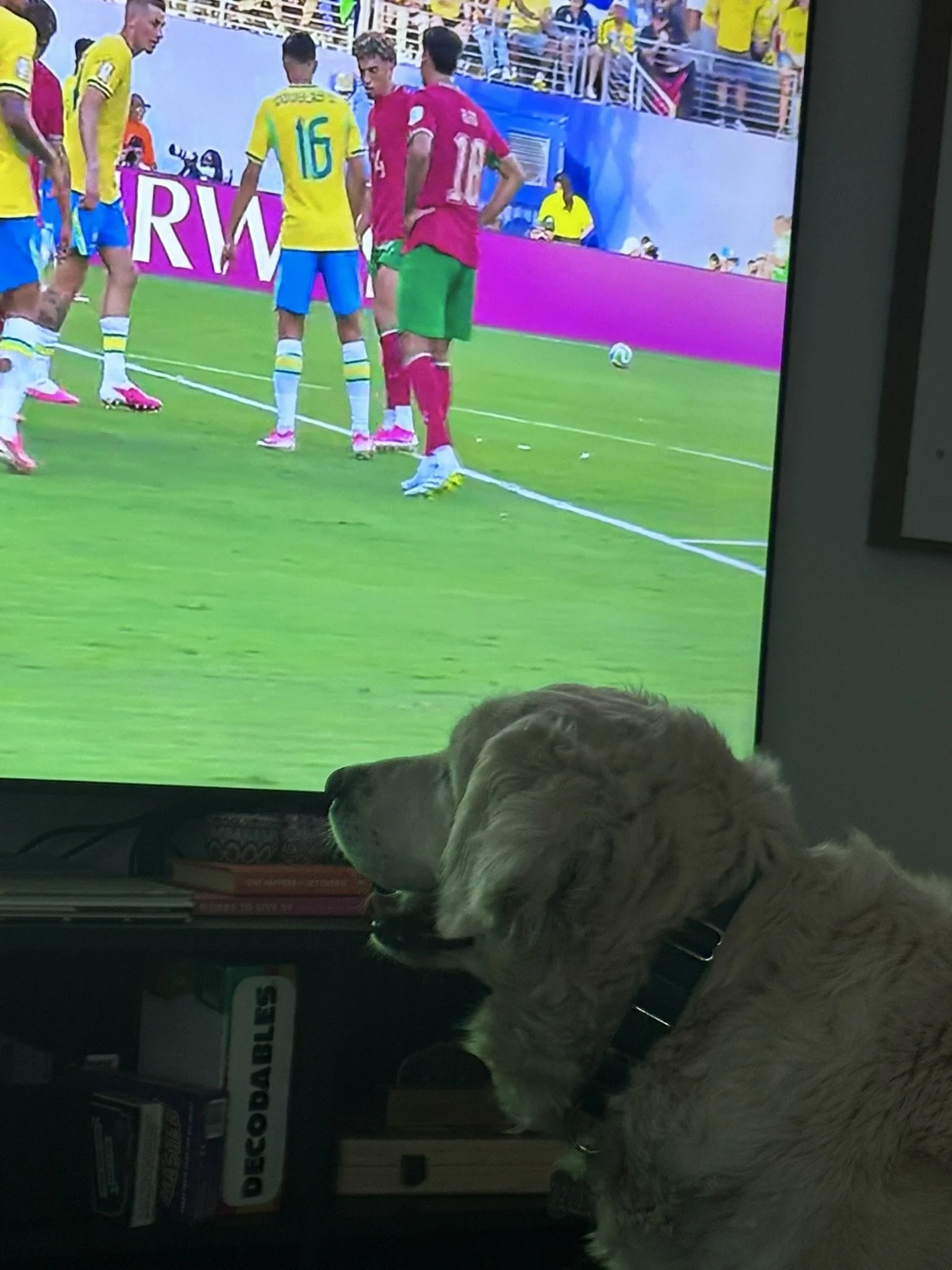 Watching TV .JPEG