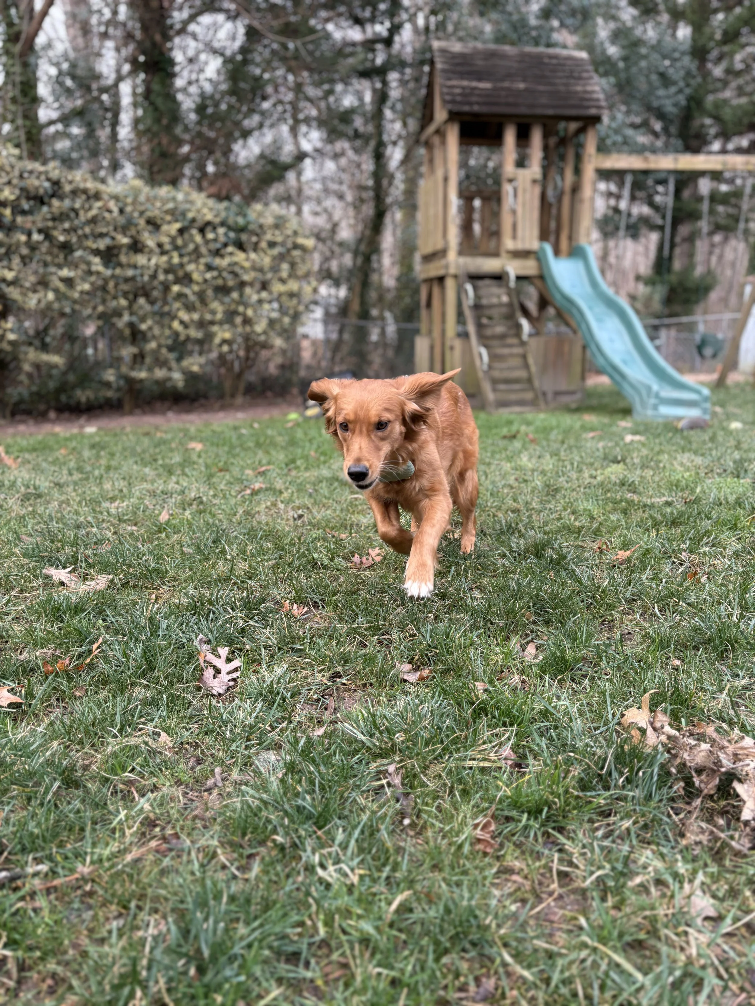 Ember25 In Action.jpeg