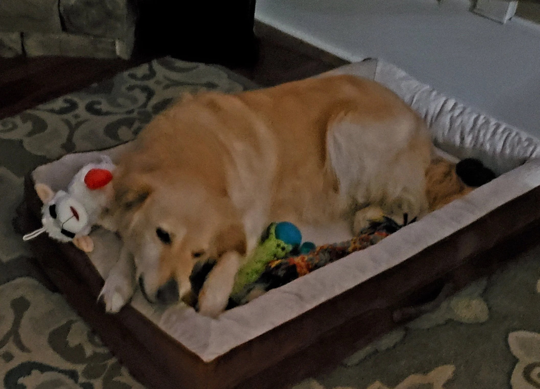 20260430_233123.jpg