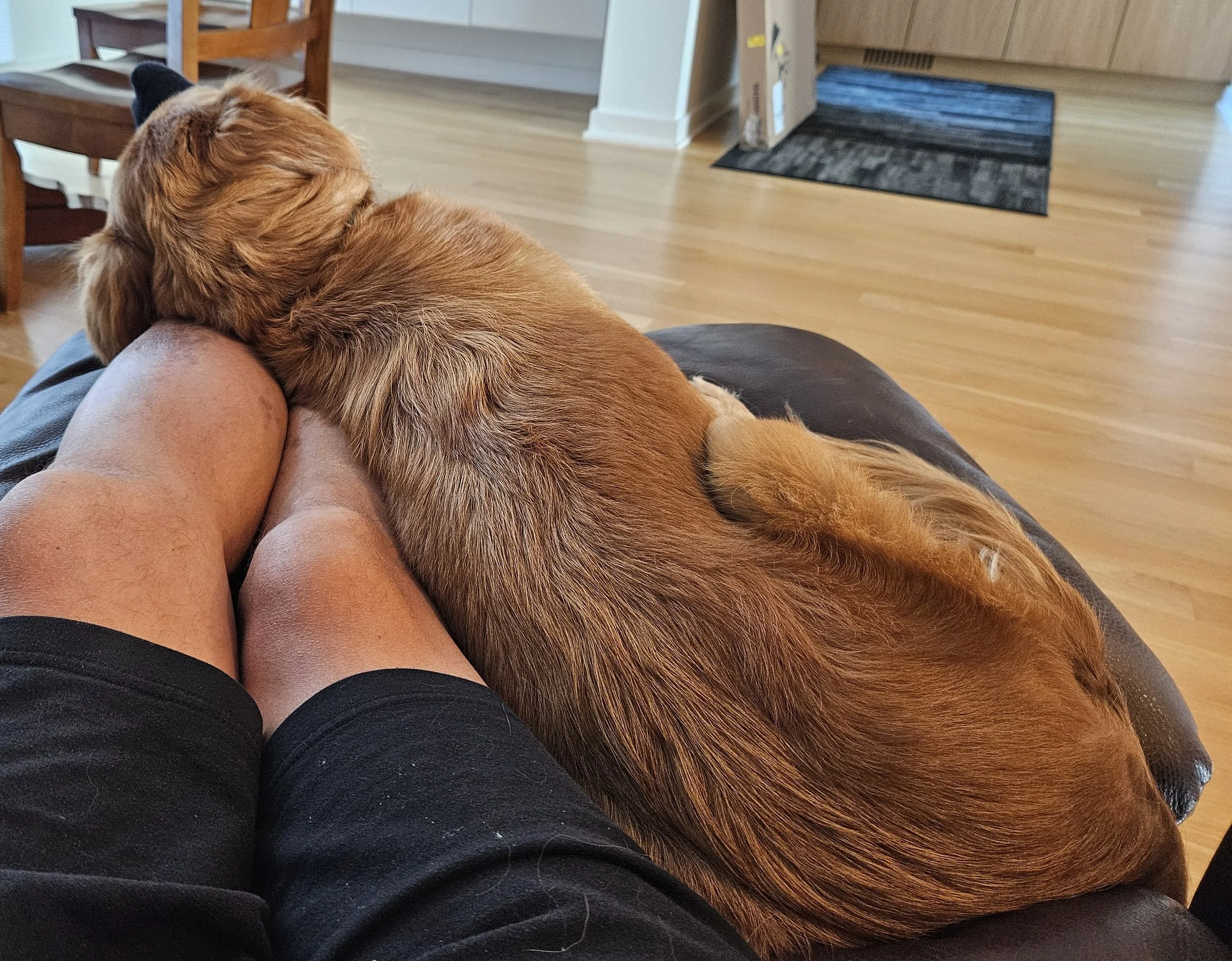 Will Snuggling.jpg