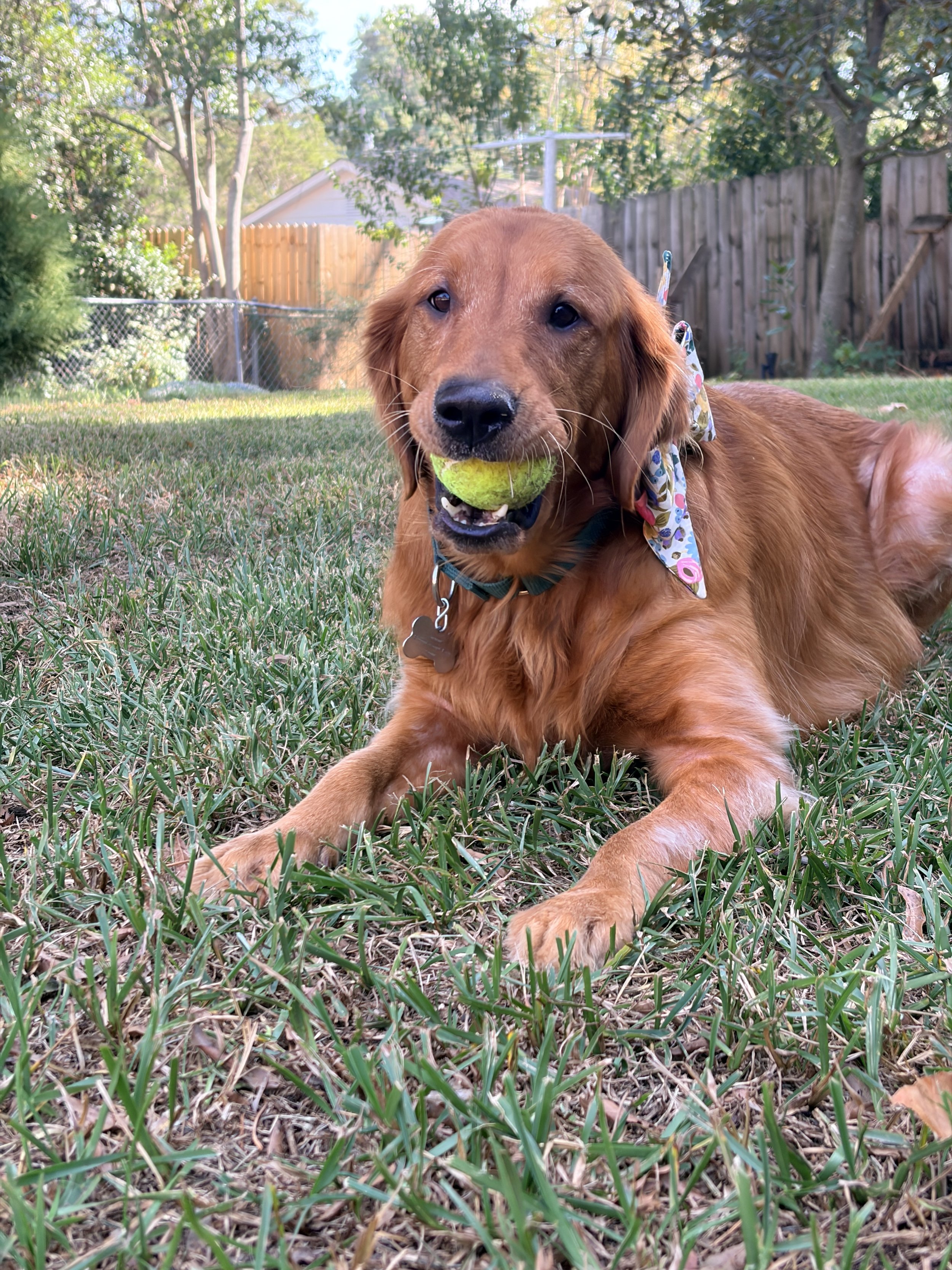 Rena and her ball.JPG