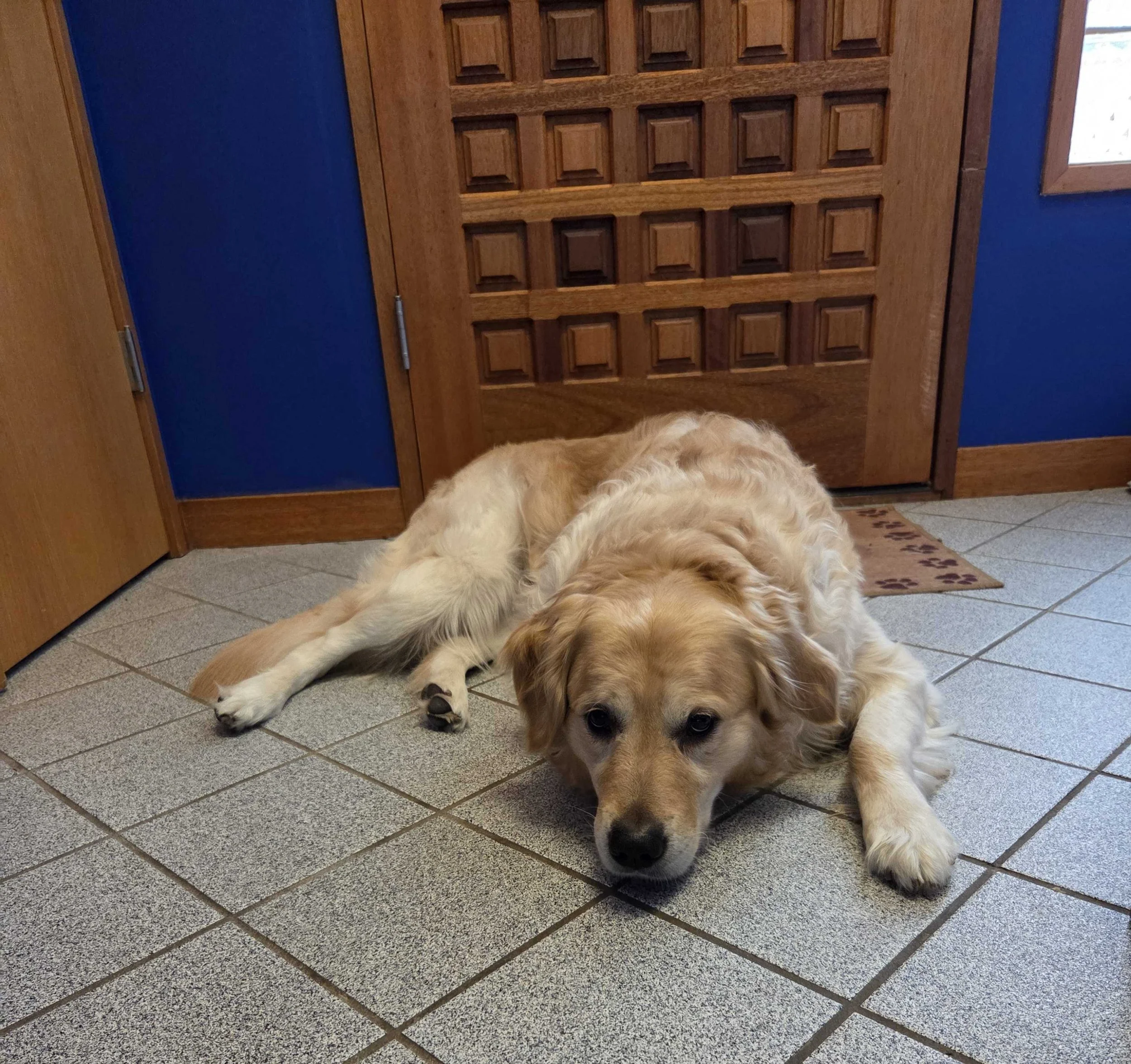 Clayton by the Door.jpg