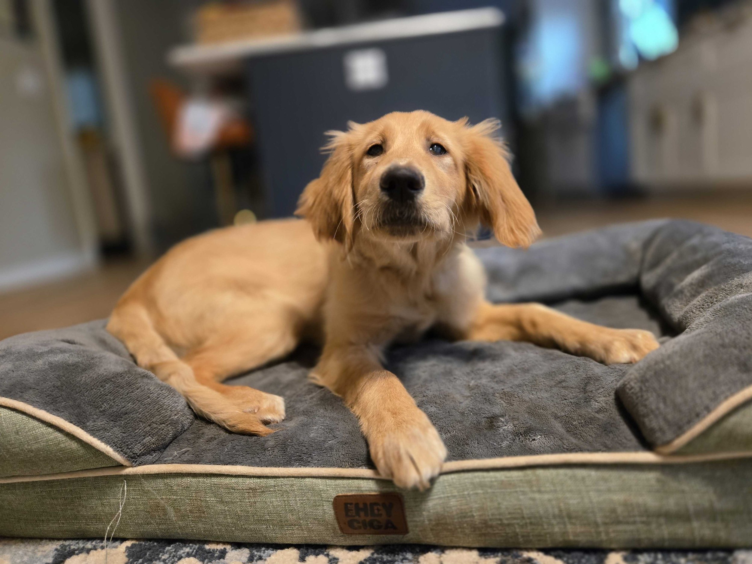 Kent on his bed.jpg