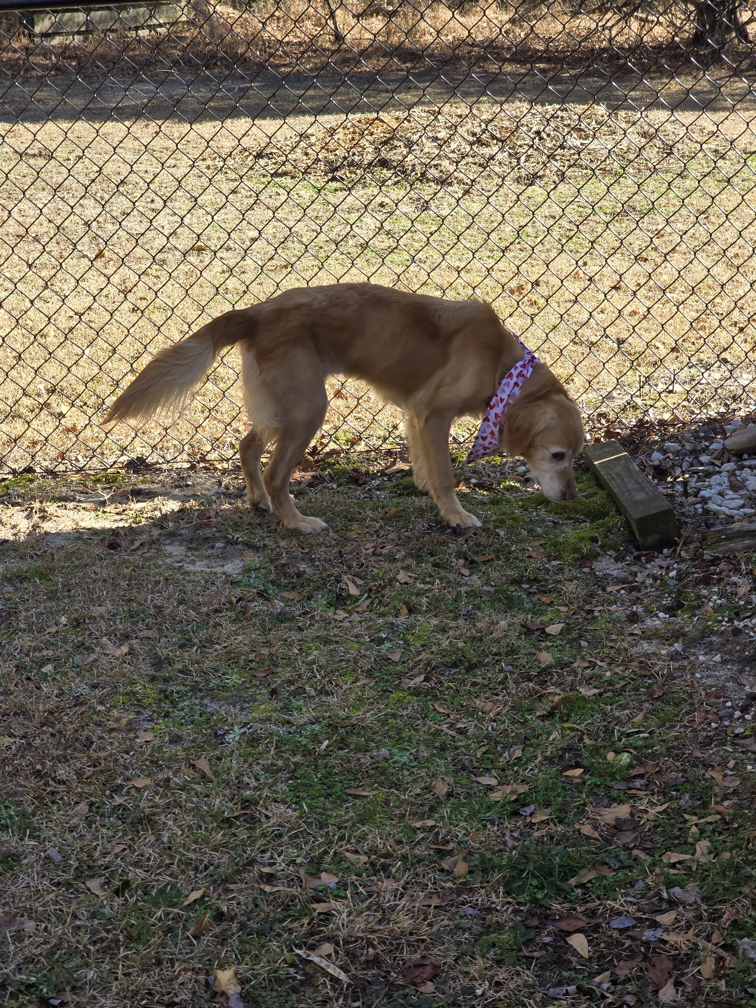 Albania Betty26 (1) (1).jpg