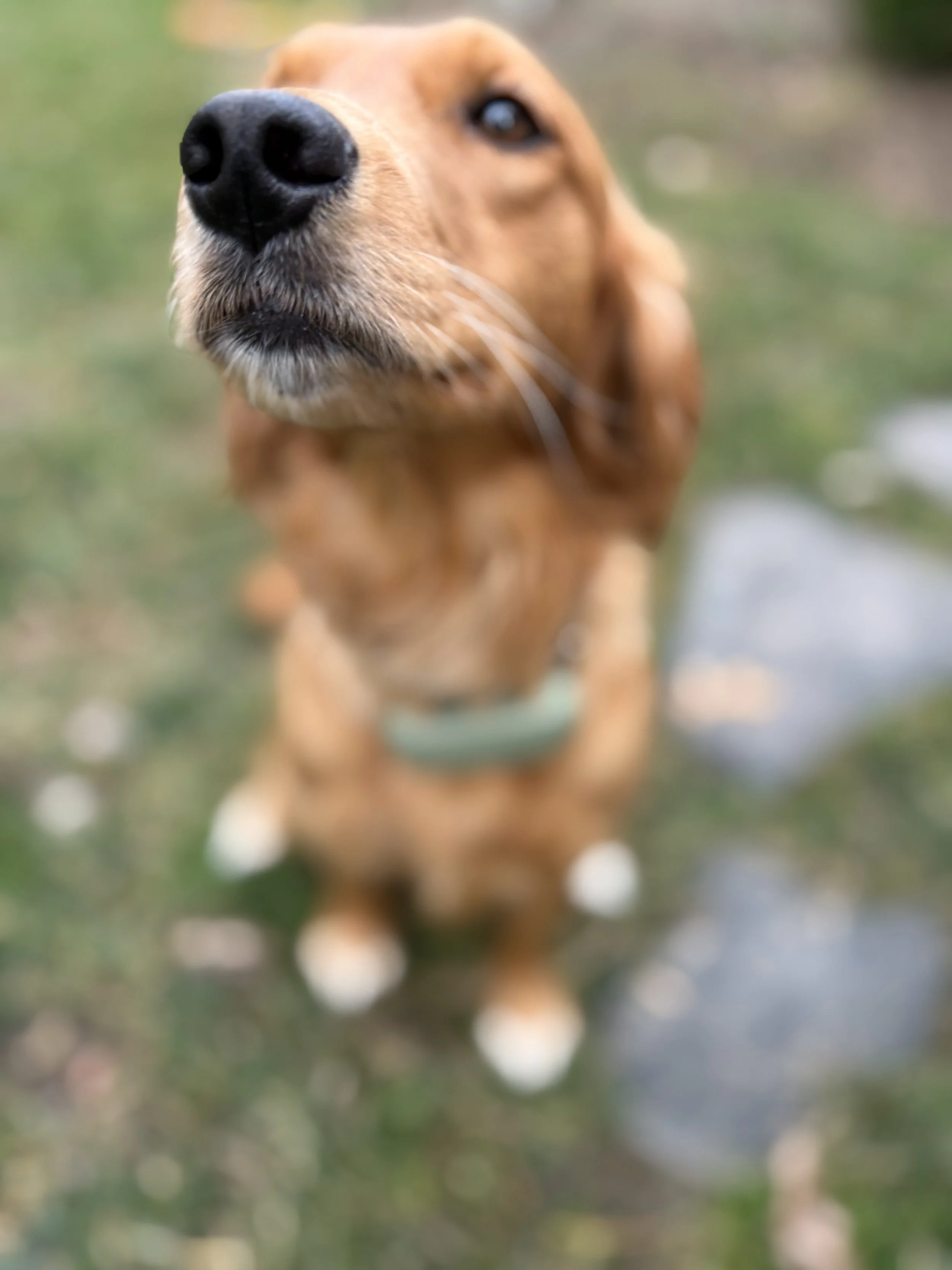 Ember25 Beauty Shot.jpeg