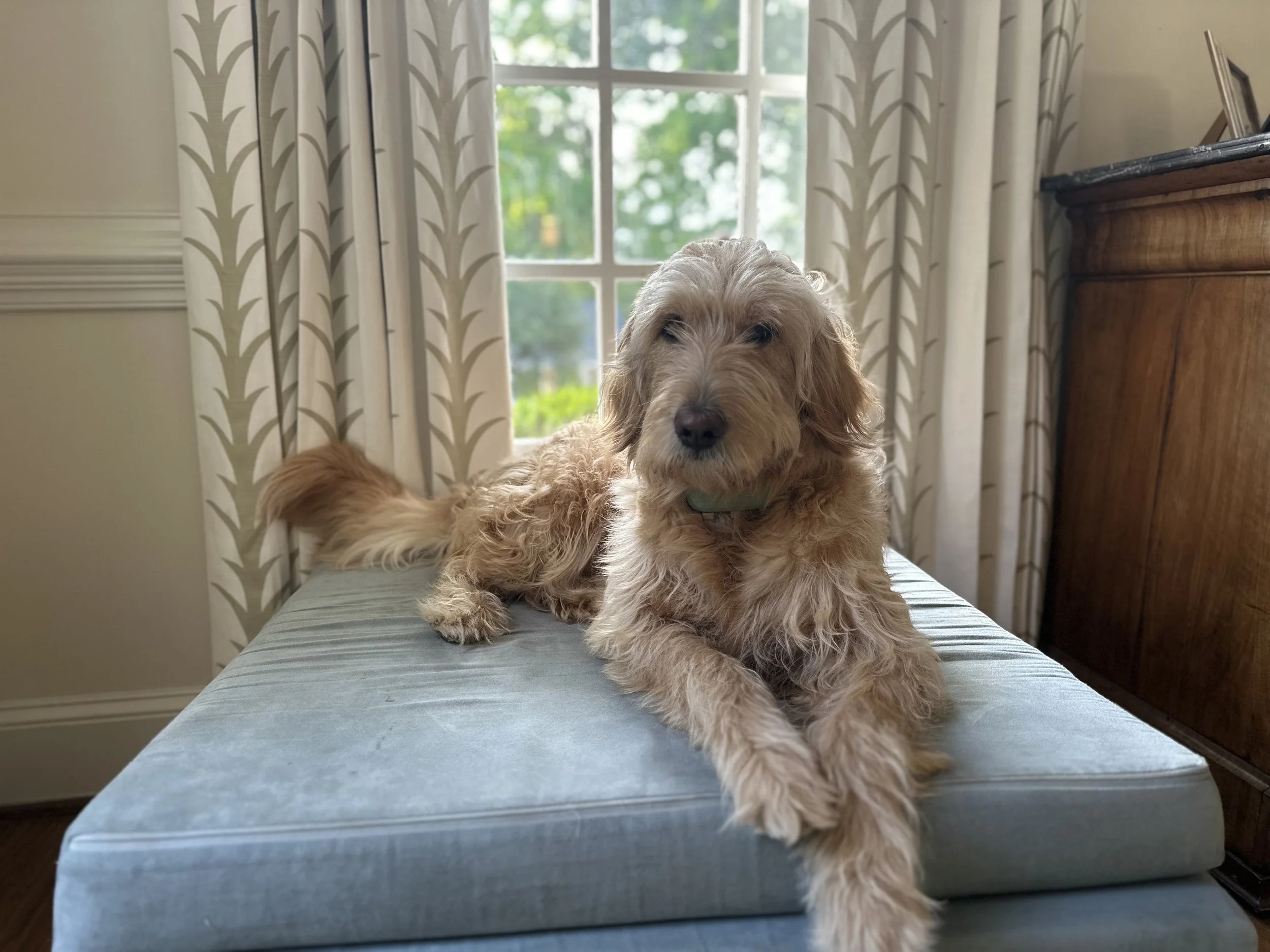IMG_0081.jpeg