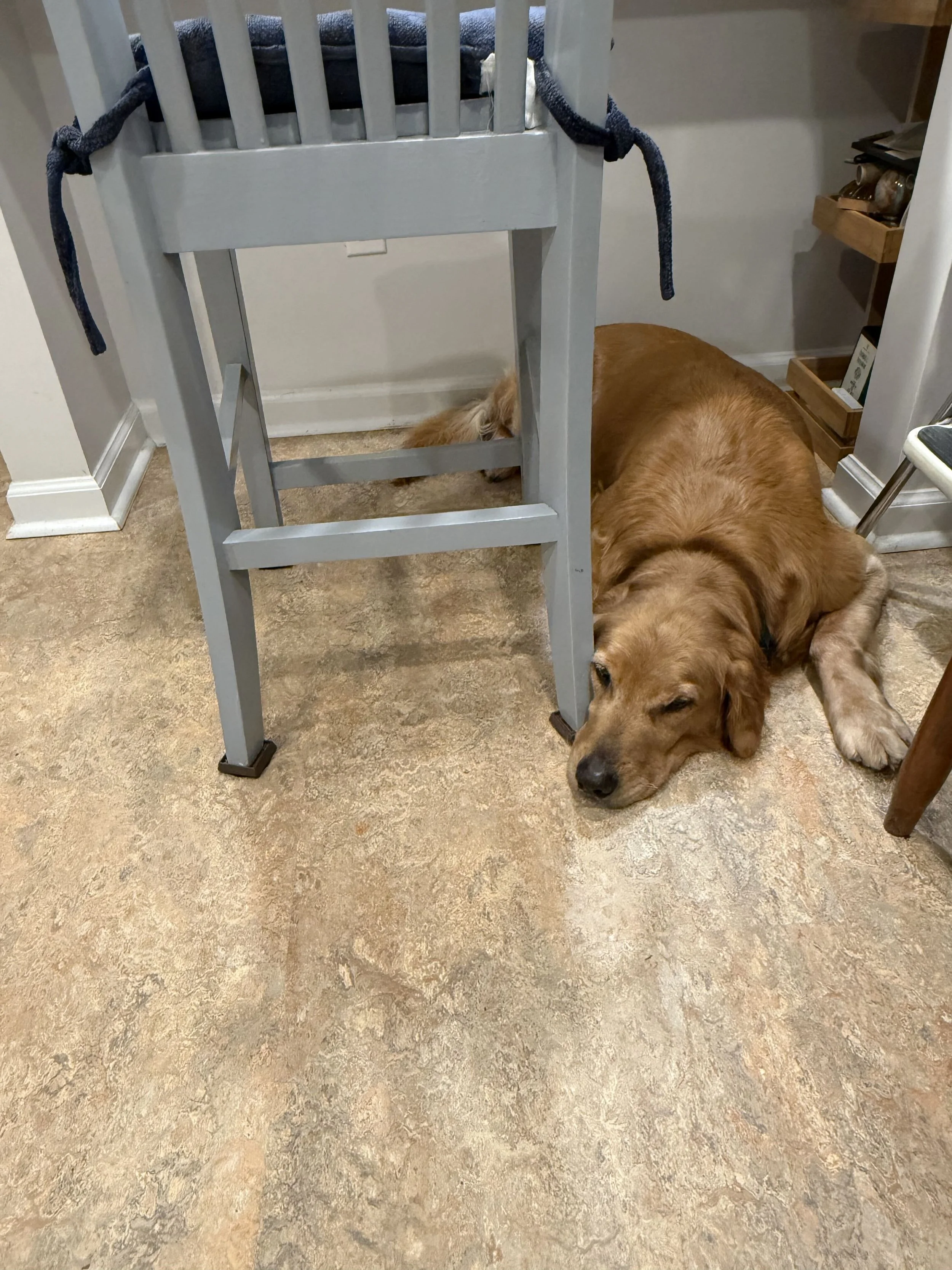 Leitha26 Snoozing.jpg