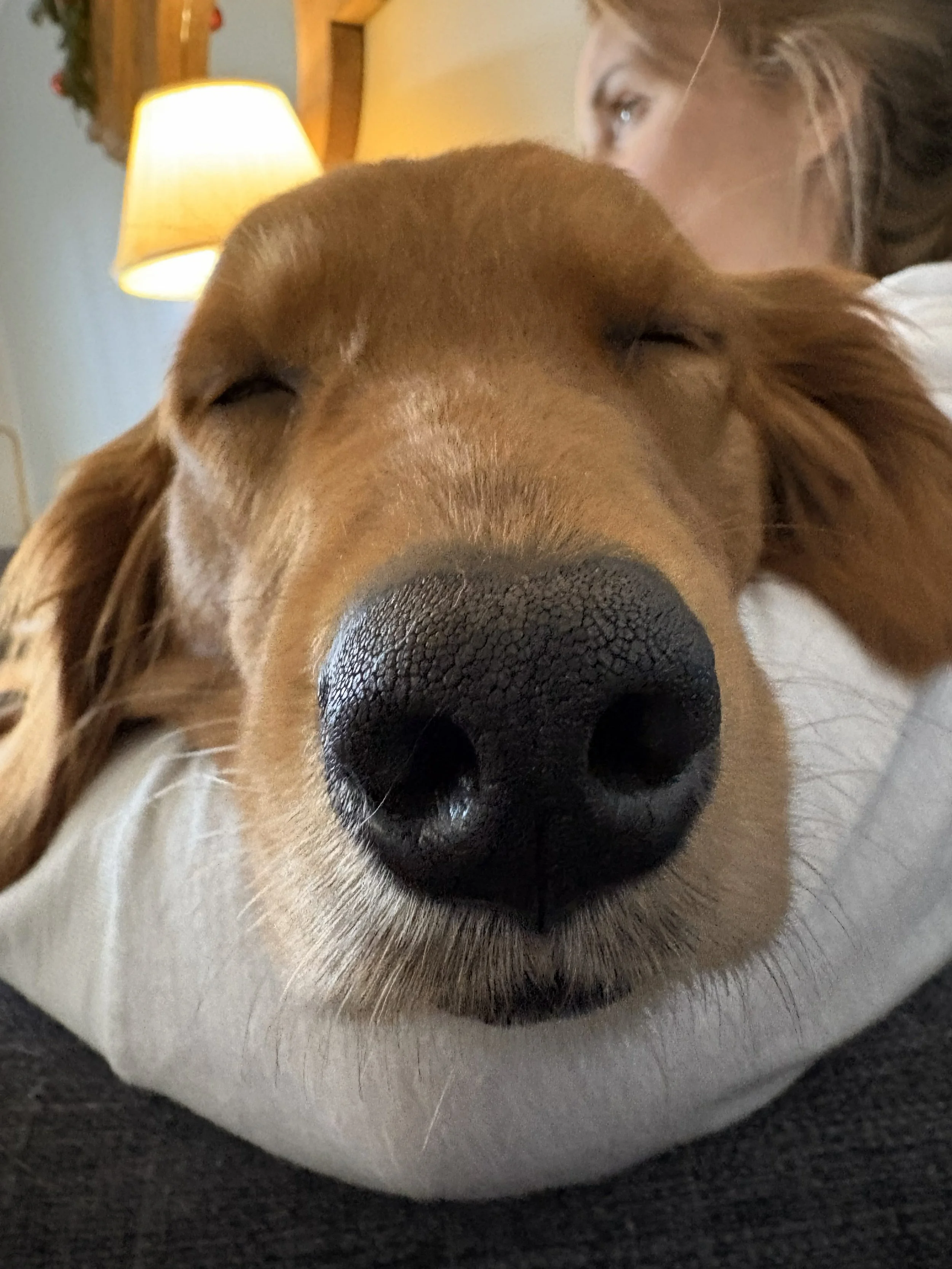 Ember25 Sleepy Girl.jpeg