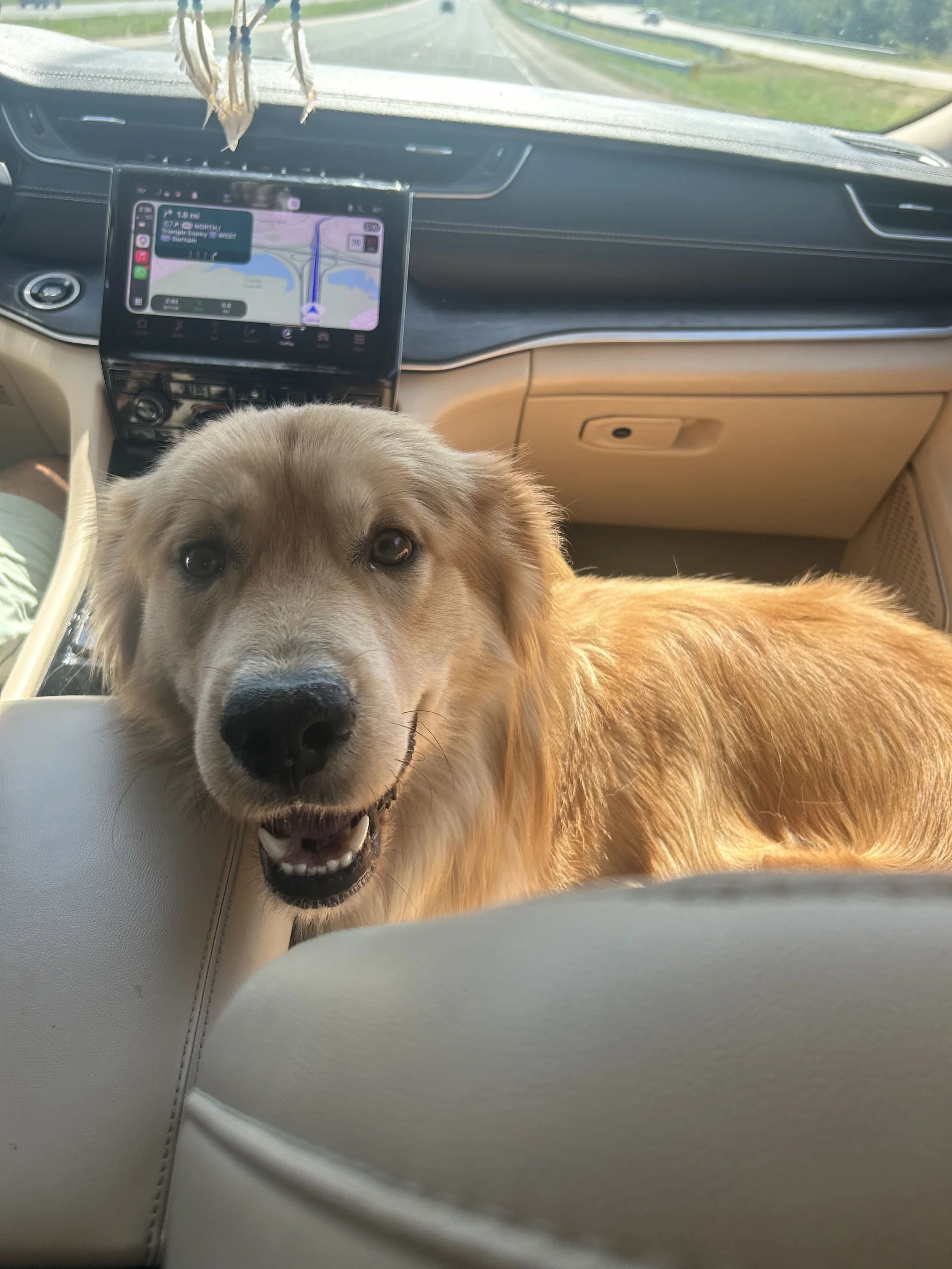 Orlando26 Car Ride.jpg