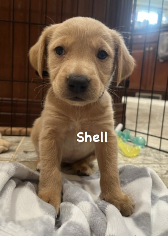 Screen Shot 2026-04-07 at 9.35.37 PM.png