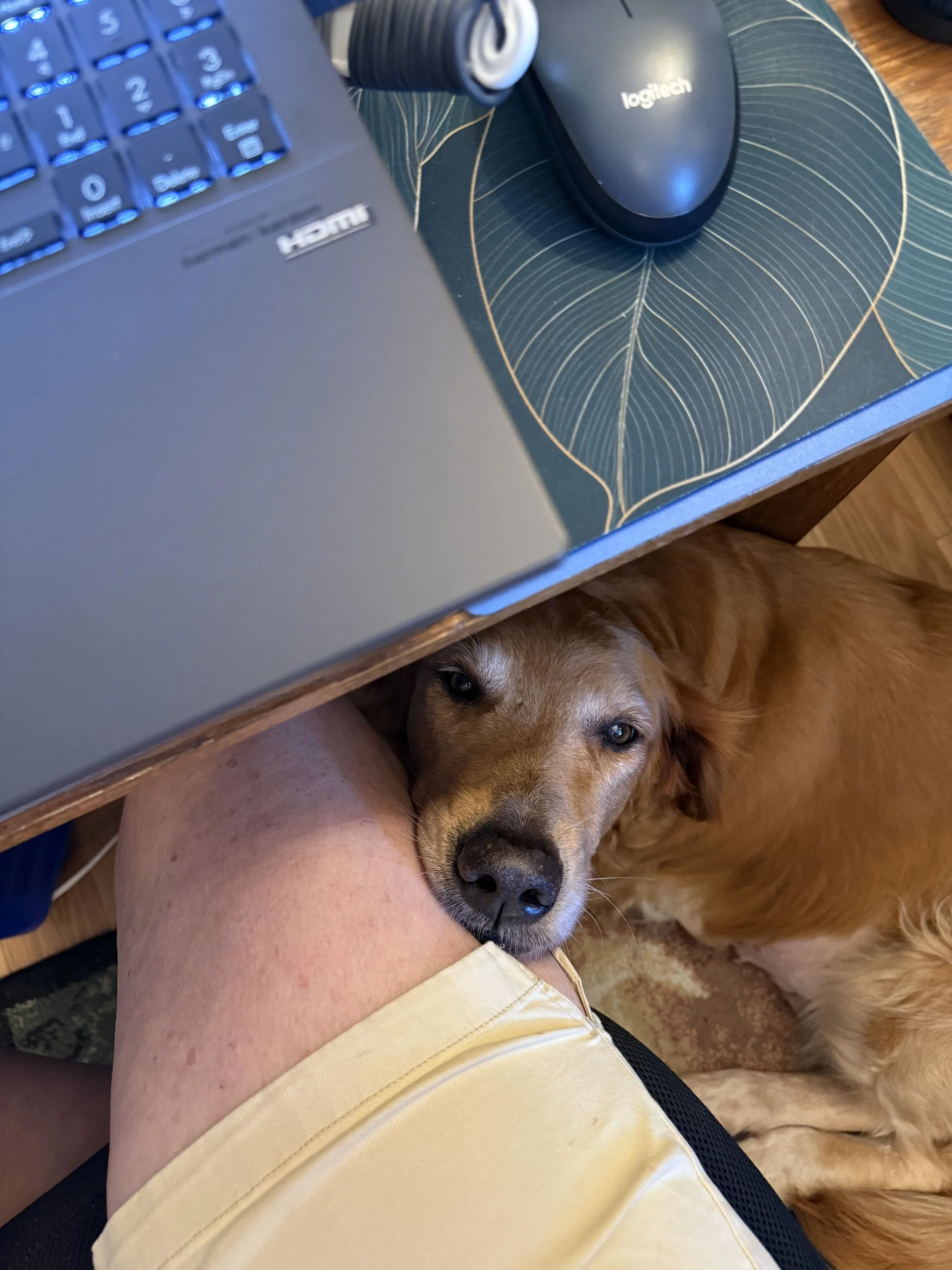 Leitha26 No Personal Space Allowed.jpg