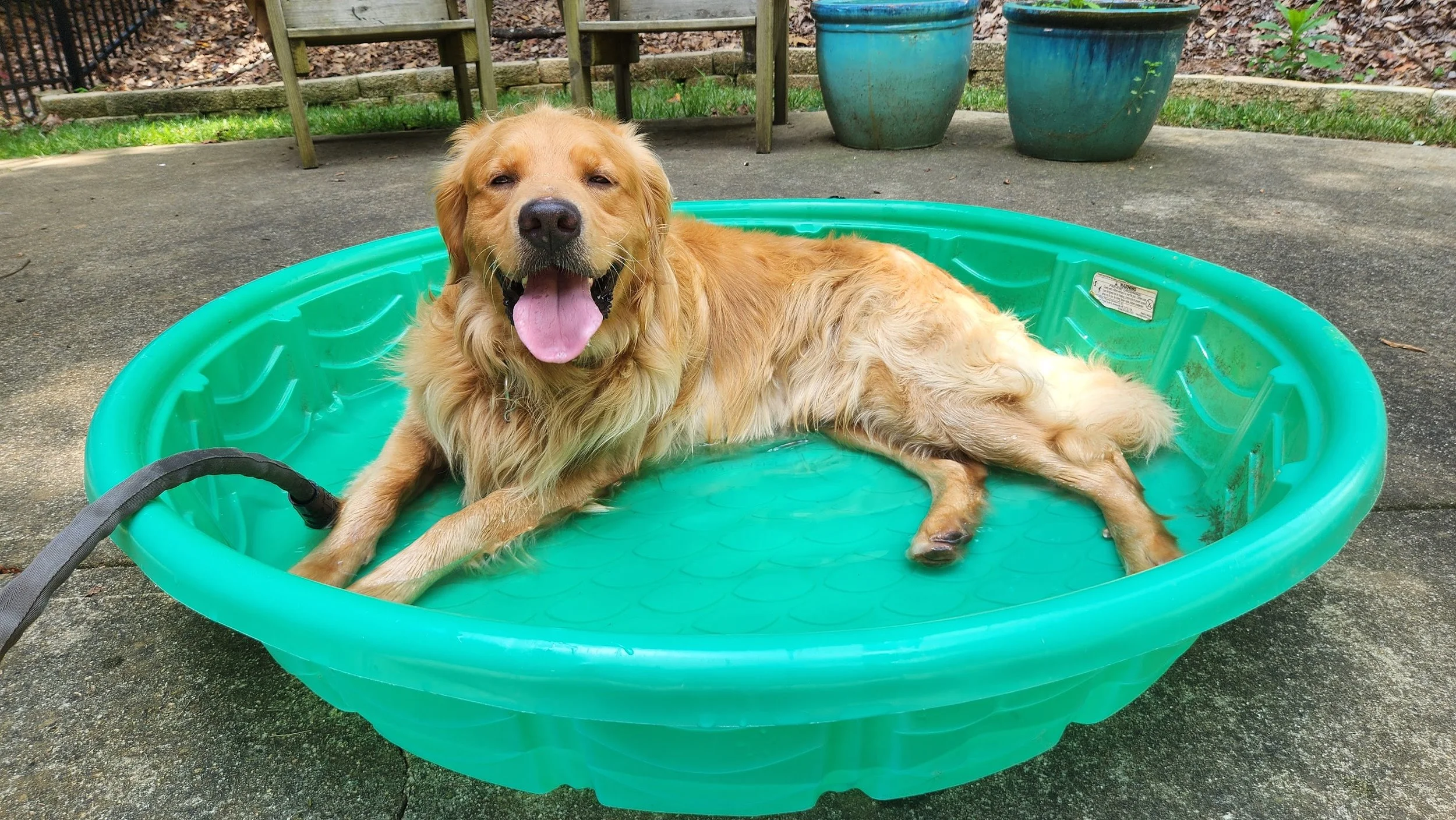 Isaac cooling off in the baby pool.jpg