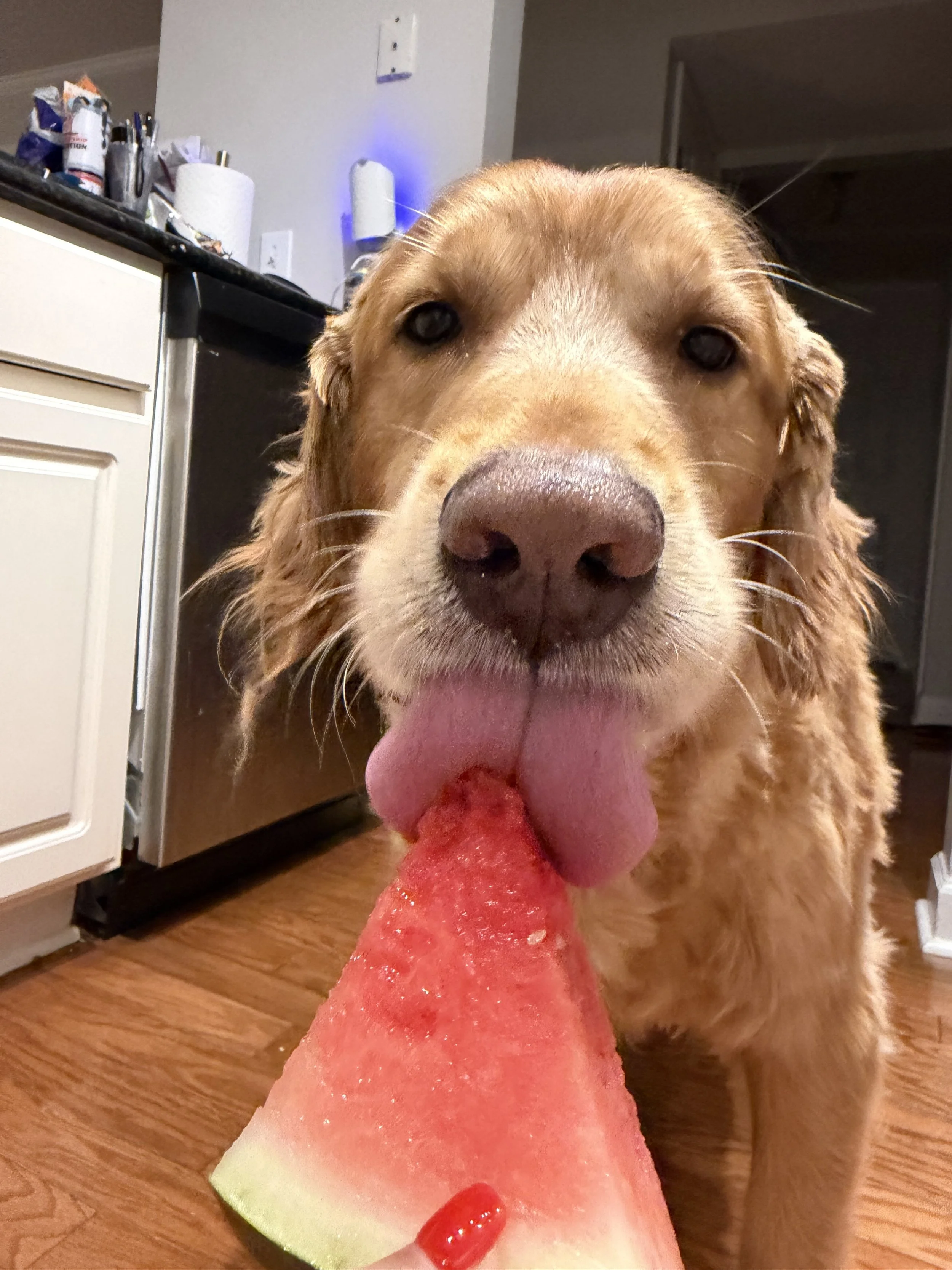 Loudon and watermelon.jpg