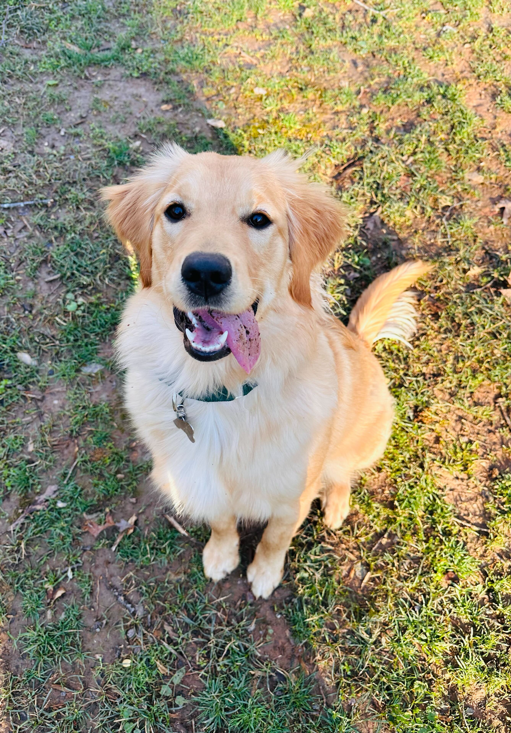 Tongues out Camille.jpg