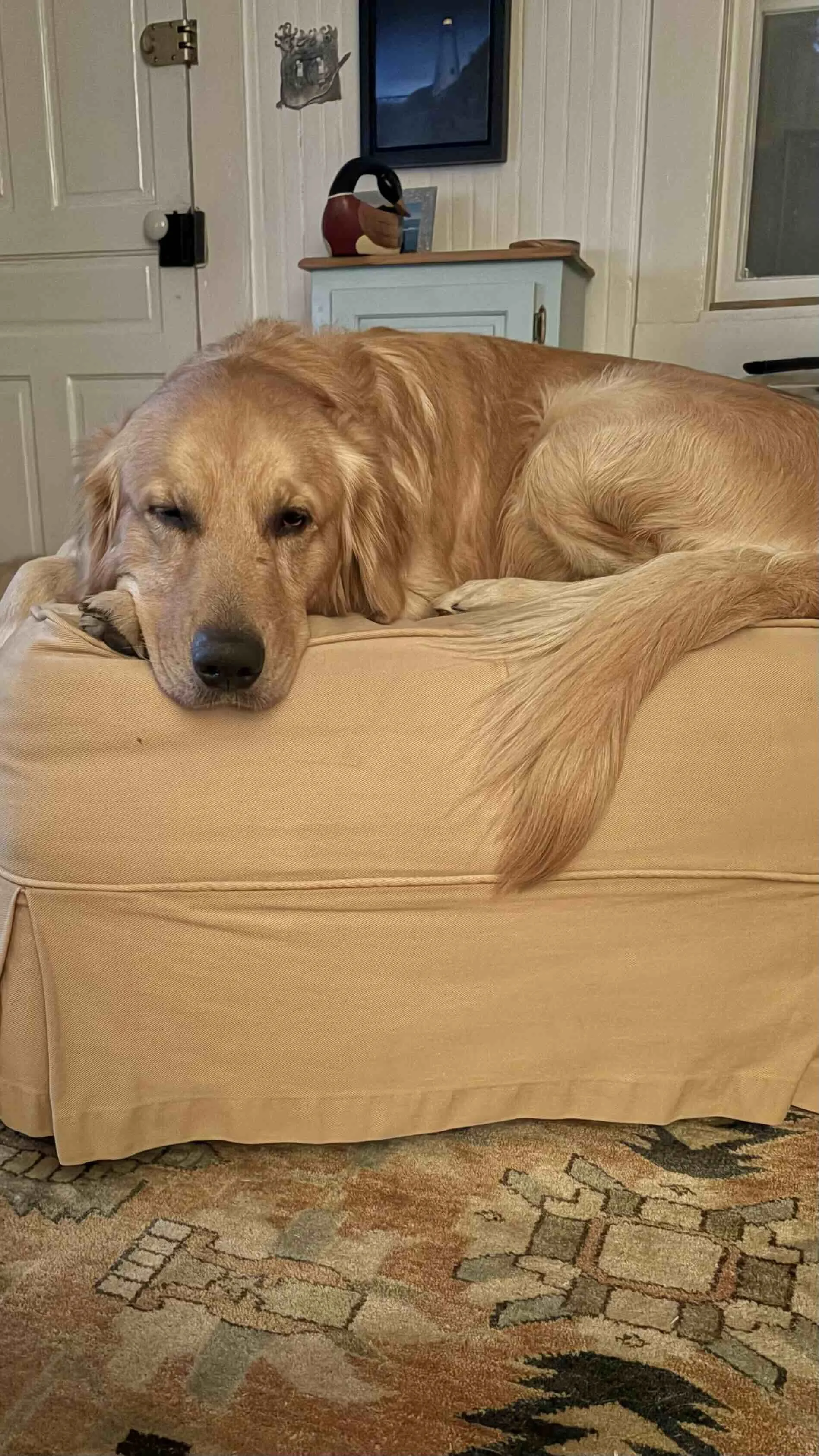 SleepyMarty.jpg