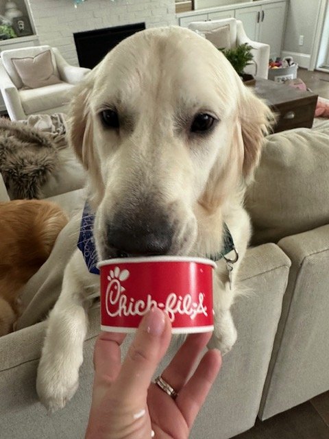 Geroge26 Pup Cup.jpeg