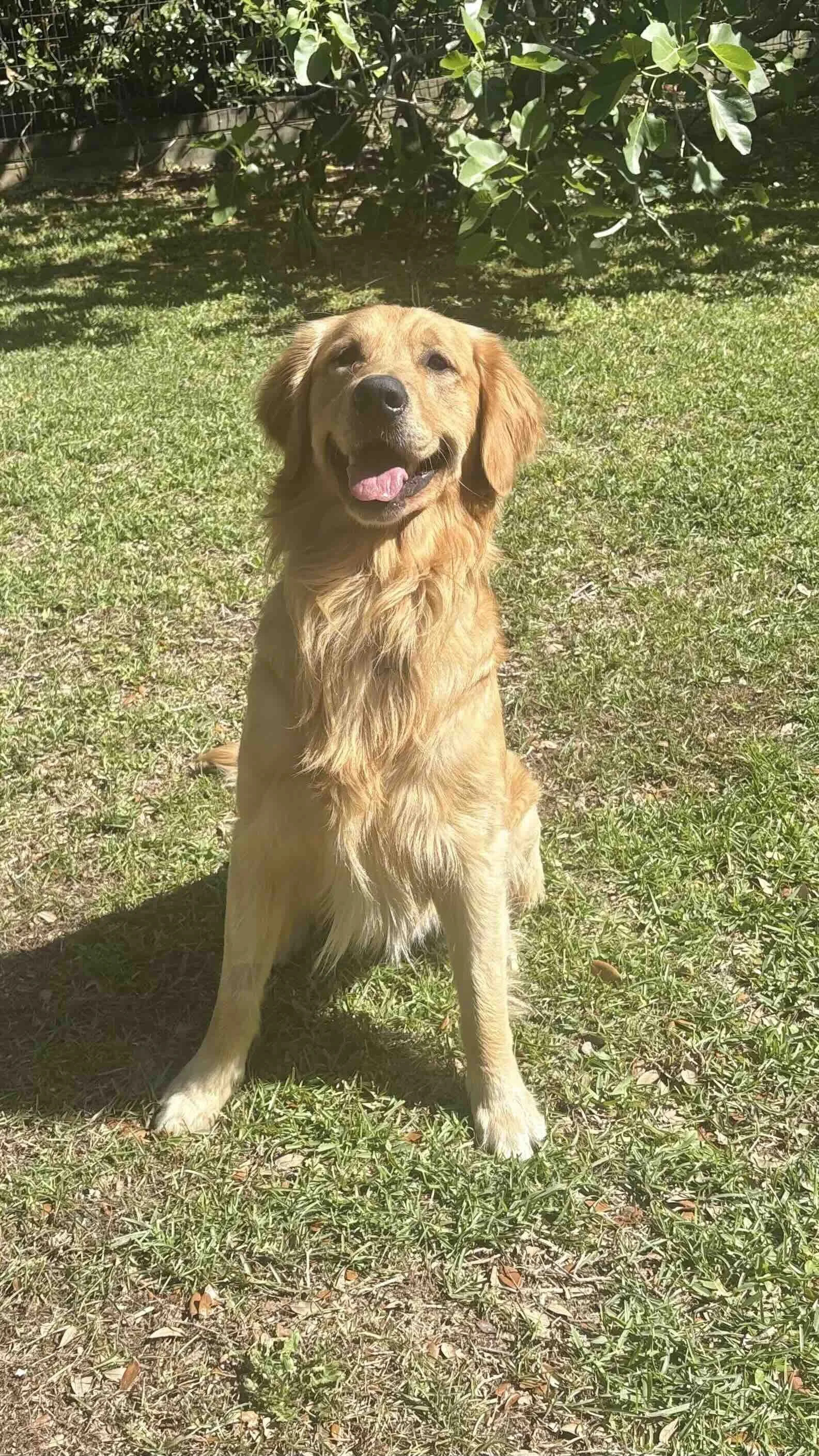 Marty waiting on the throw.jpg