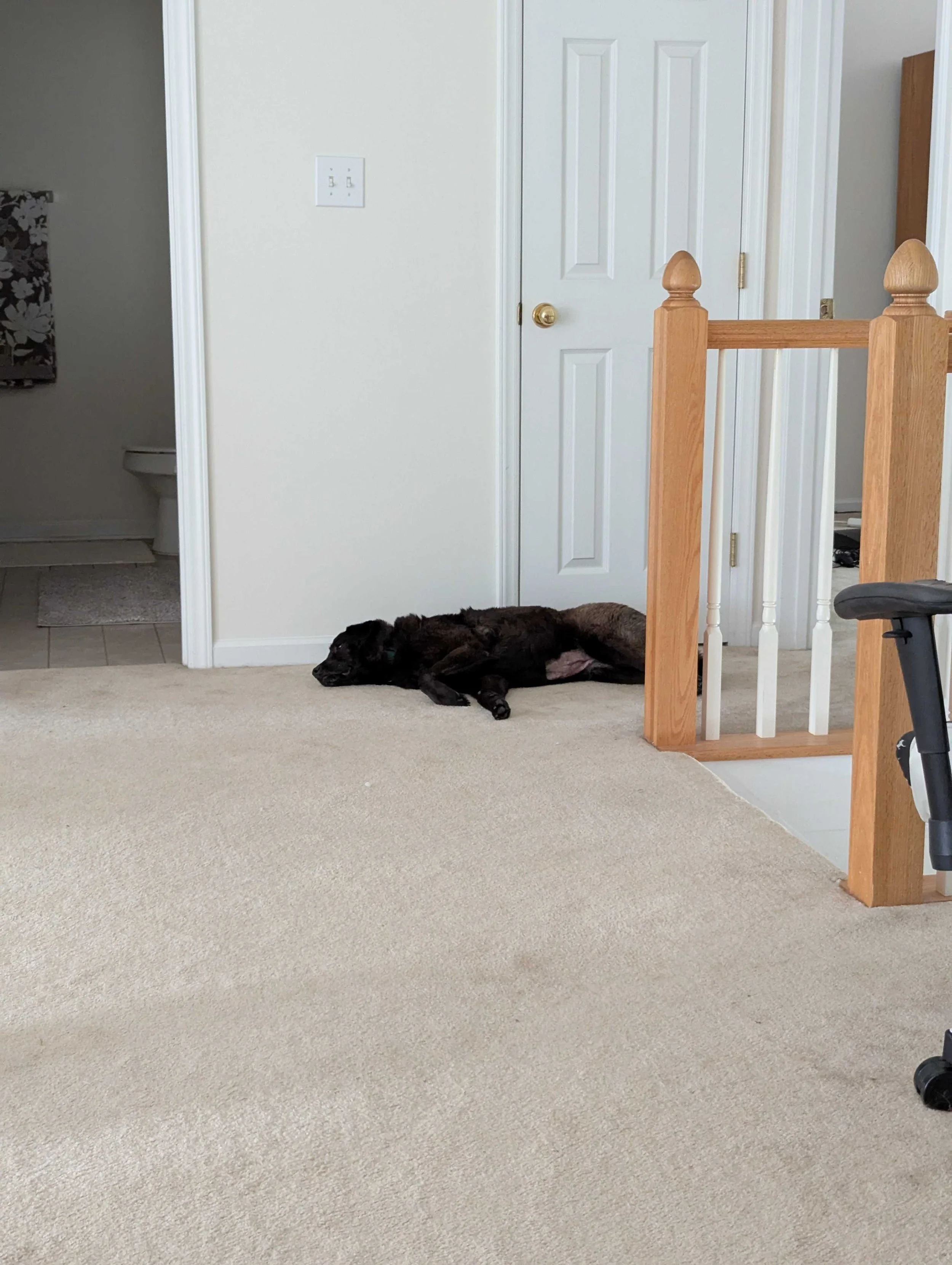 Anita Relaxing.jpg